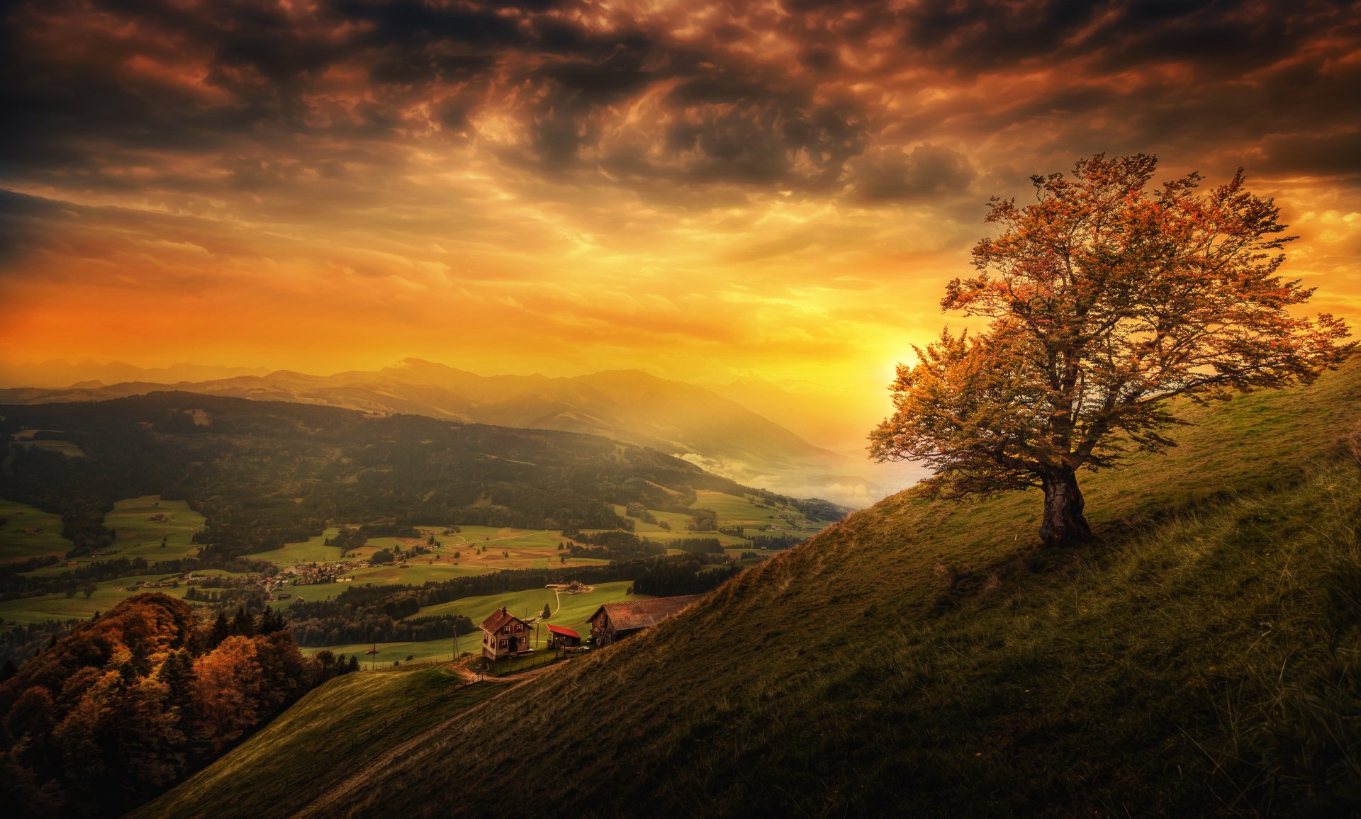 Hillside Autumn Sunset Wall Art