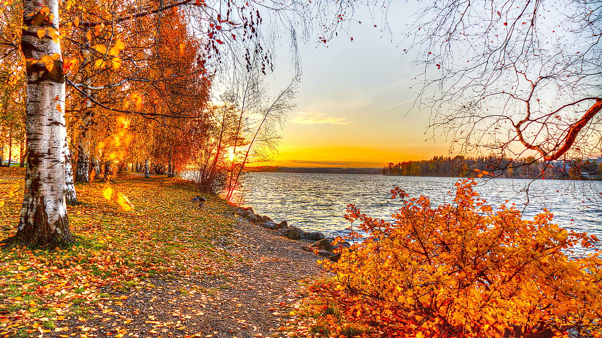 Autumn Lake During Sunset HD Sunset Wallpaper