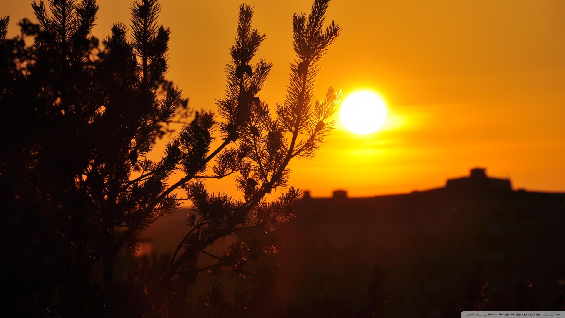 Autumn Sunset 4K UHD Wallpaper for UltraHD Desktop and TV, Widescreen and UltraWide Display, Smartphone and Tablet Devices