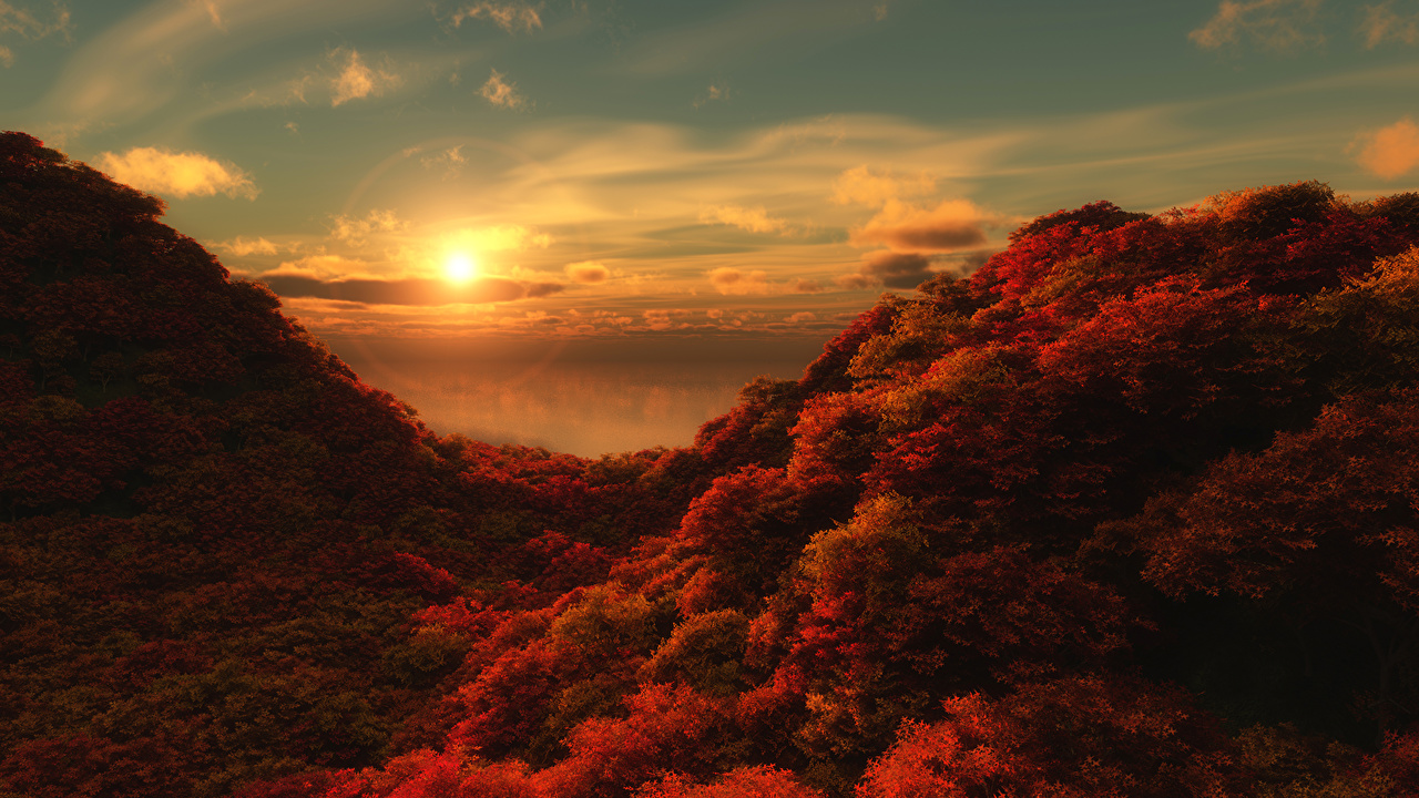 Photo Autumn Nature Forests Scenery Sunrises and sunsets Seasons
