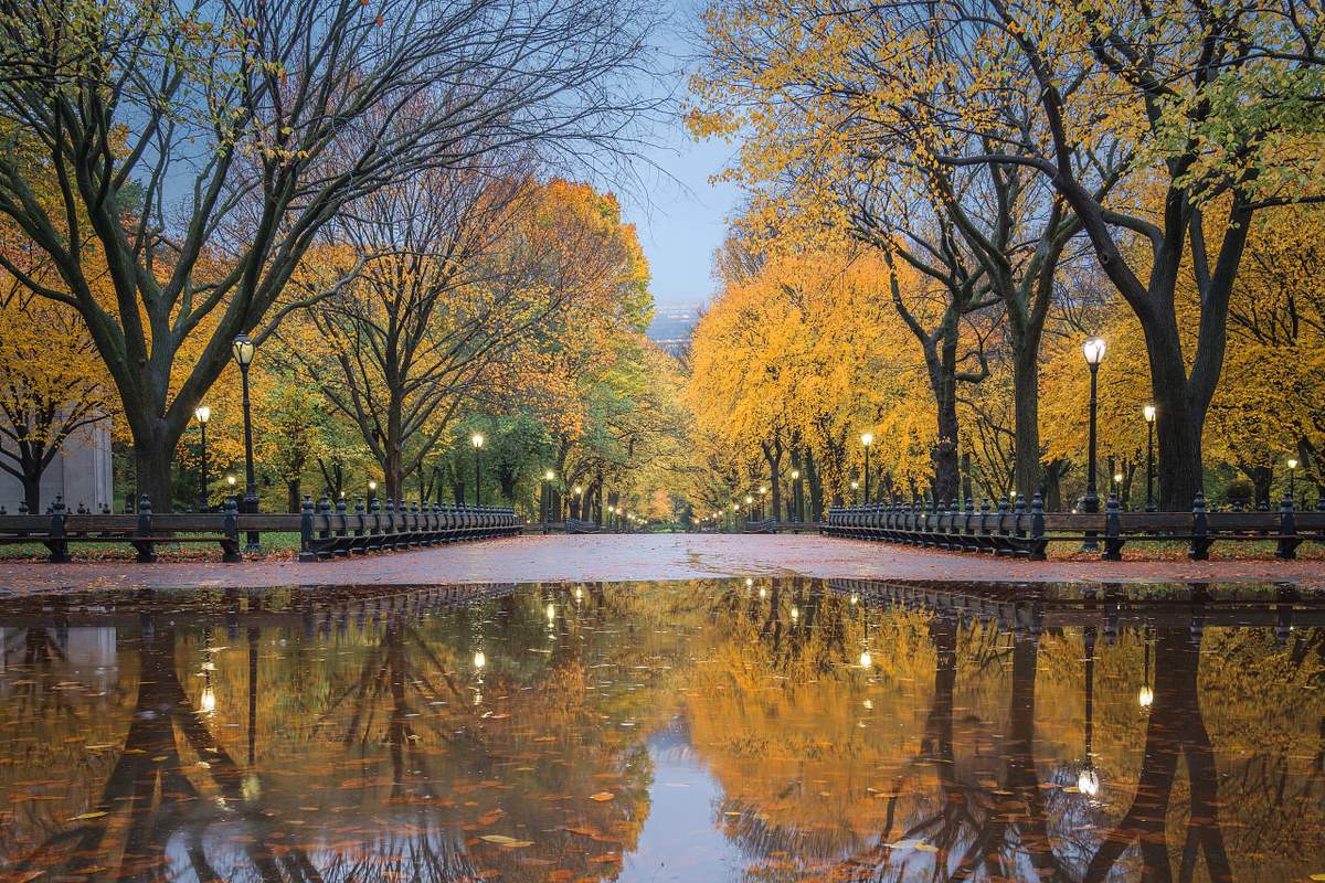 Autumn Glory on The Mall in Central Park: A Spectacular Fall Display in New York City
