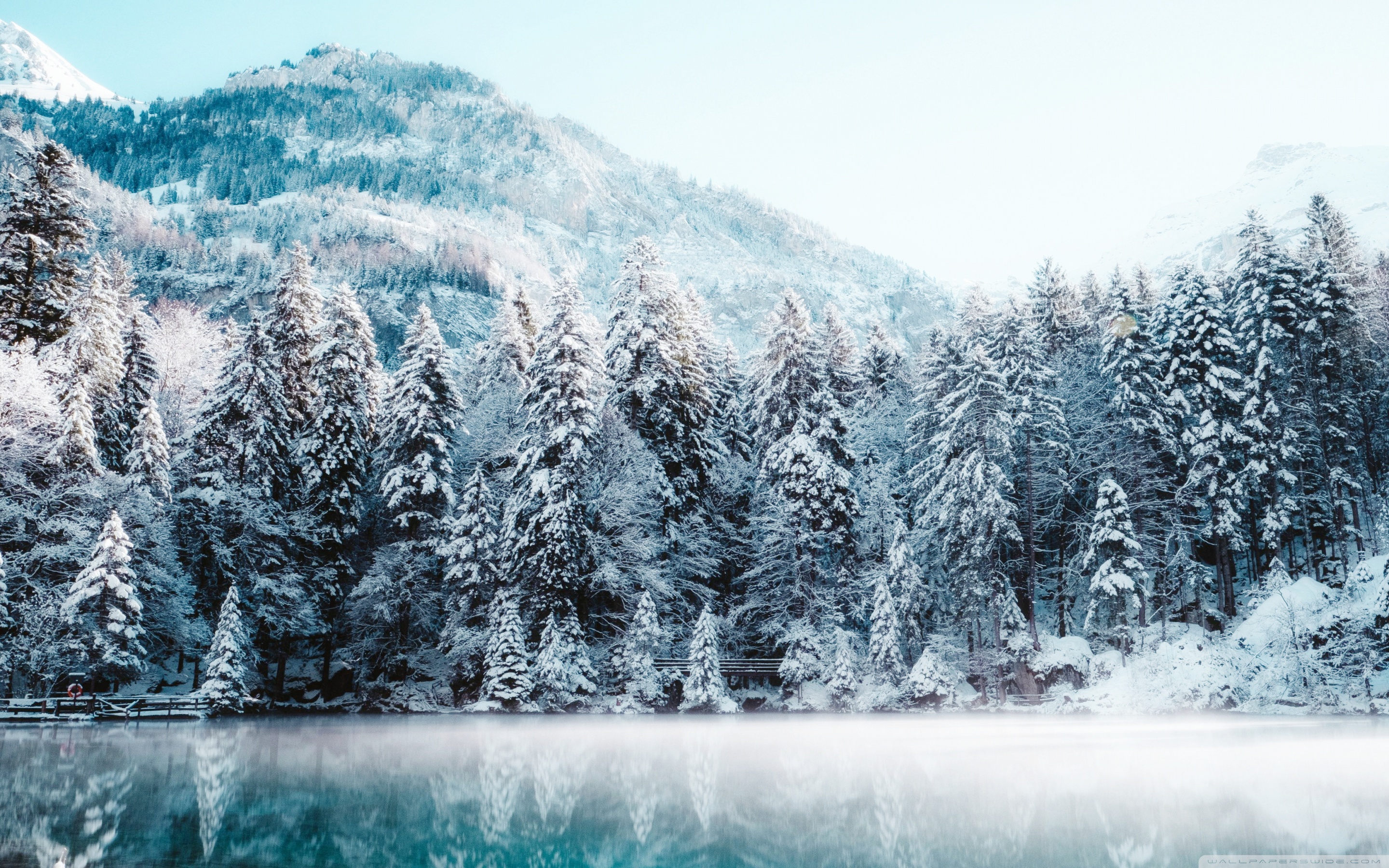 Winter Picture For Wallpaper