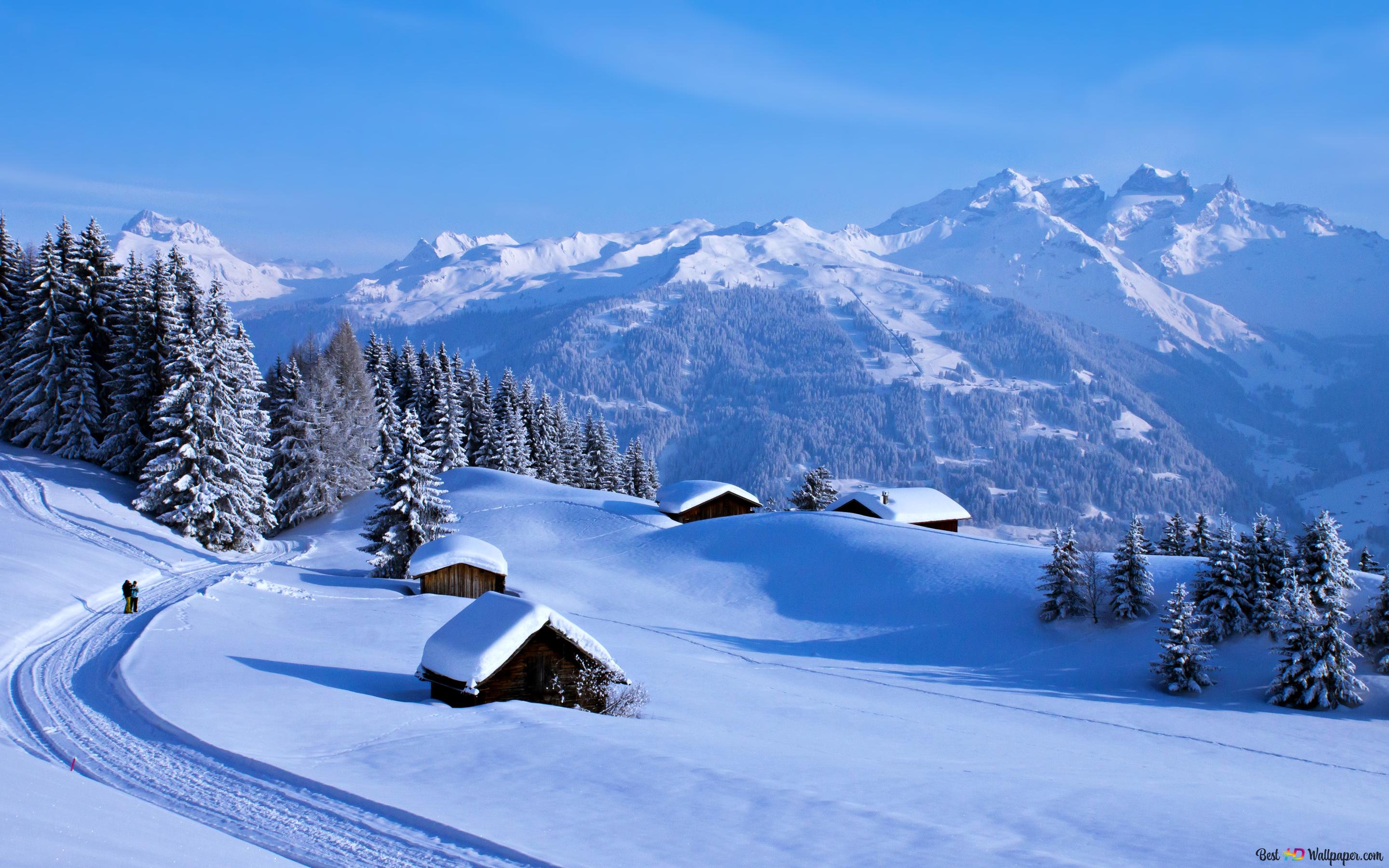 Forest River In Winter MacBook Air Wallpaper Download