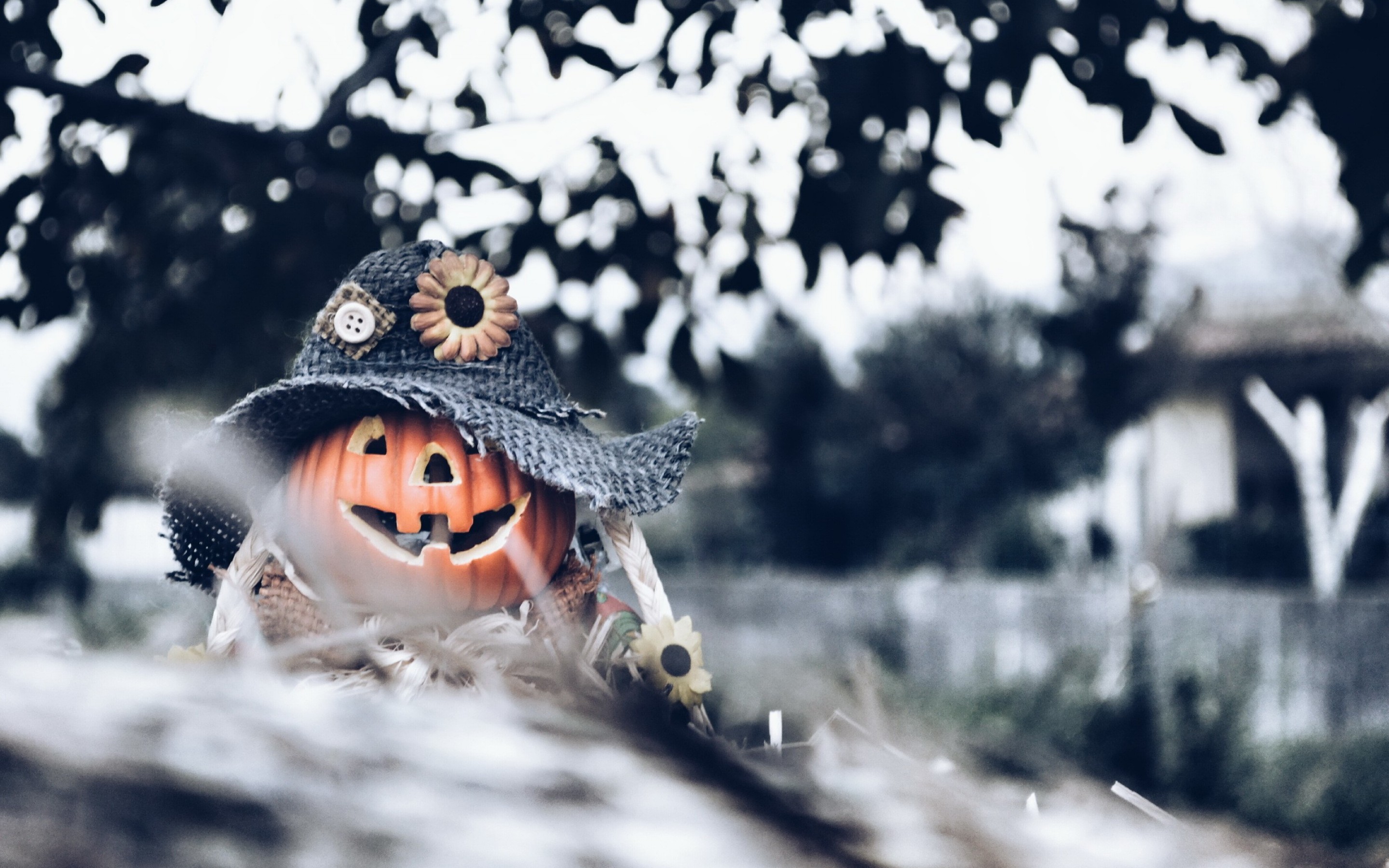 Hd Winter Desktop Wallpaper HD Winter Wallpaper In Winter Wallpaper & Background Download