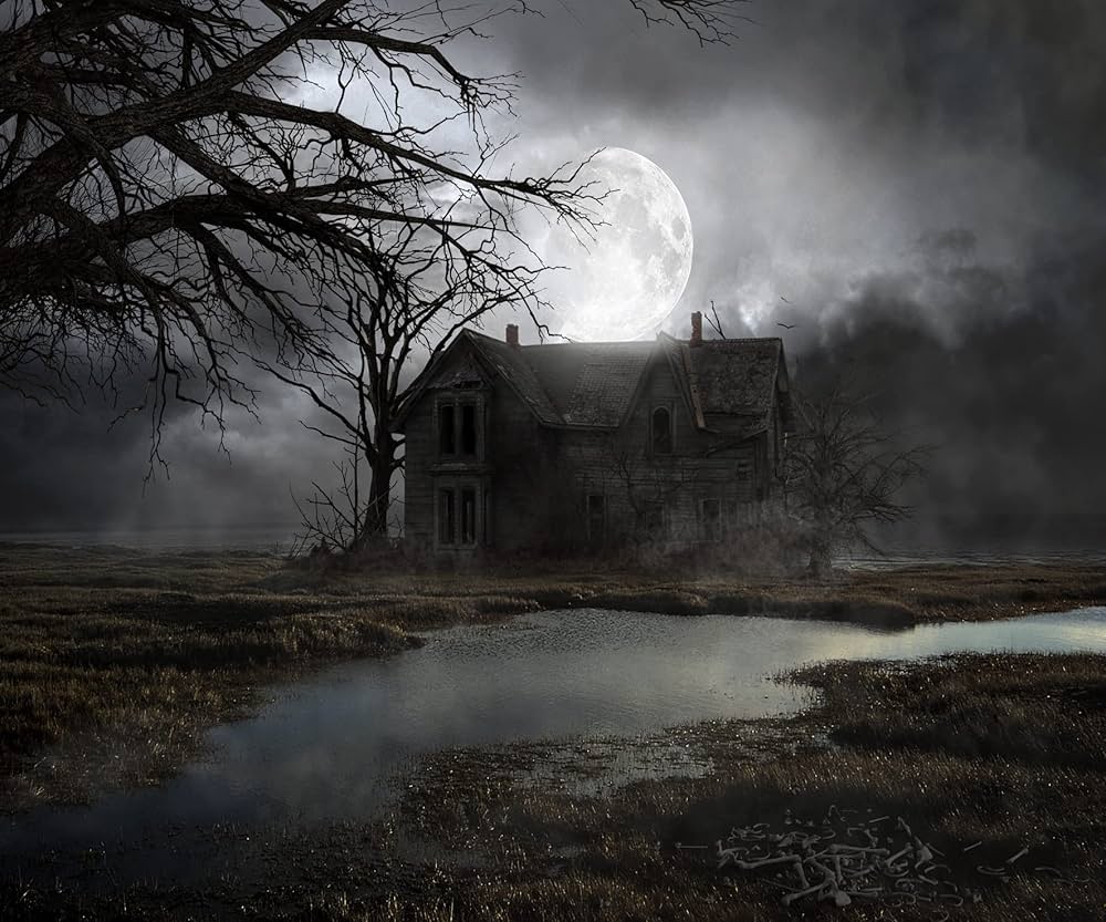 SADFA 10x8ft Halloween Haunted House Backdrop Old Abandoned Horror House in The Night Misty Forest Photo Background Halloween Party Decor Photo Studio Props Wallpaper, Amazon.in: Electronics
