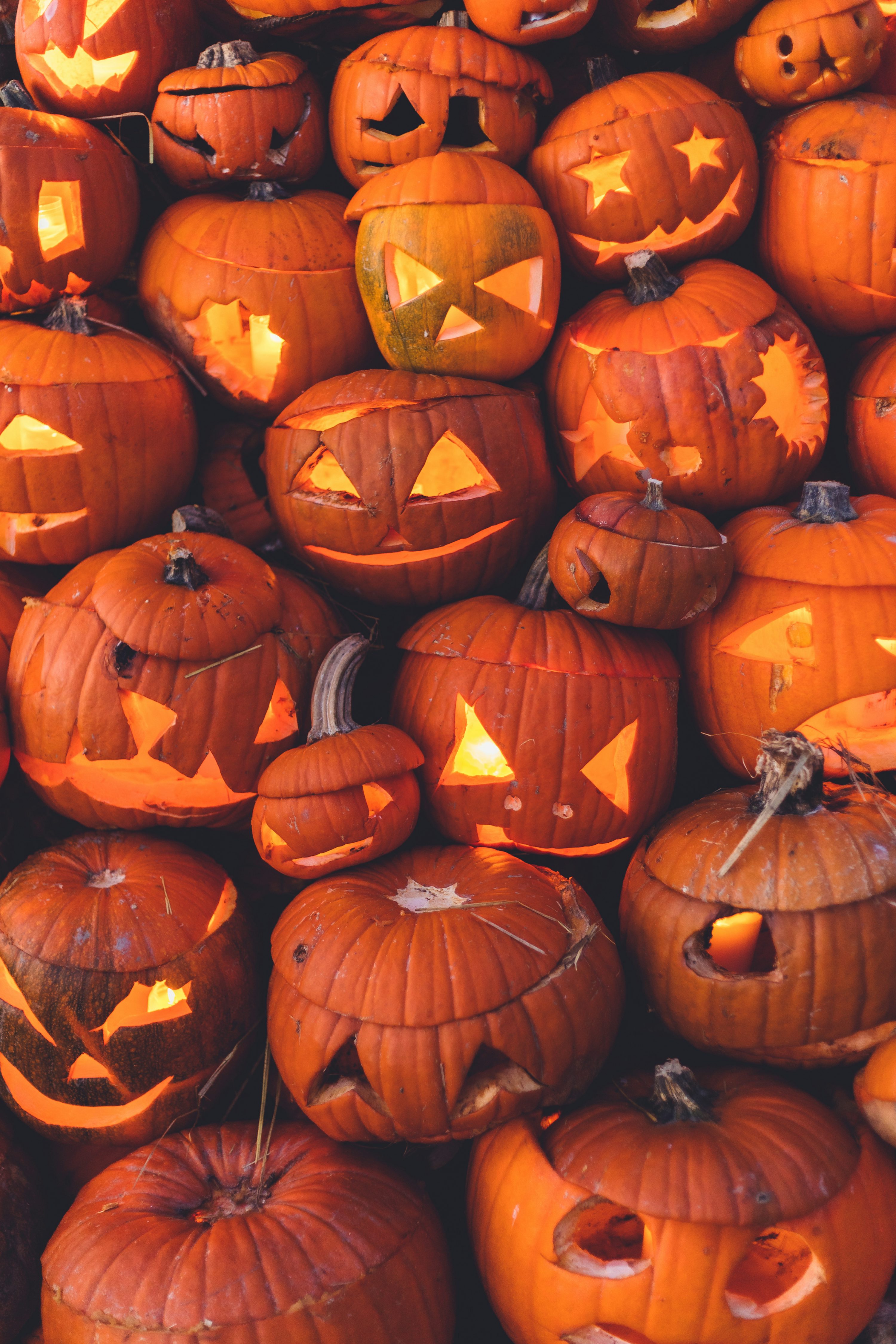 Jack O Lantern Picture. Download Free Image