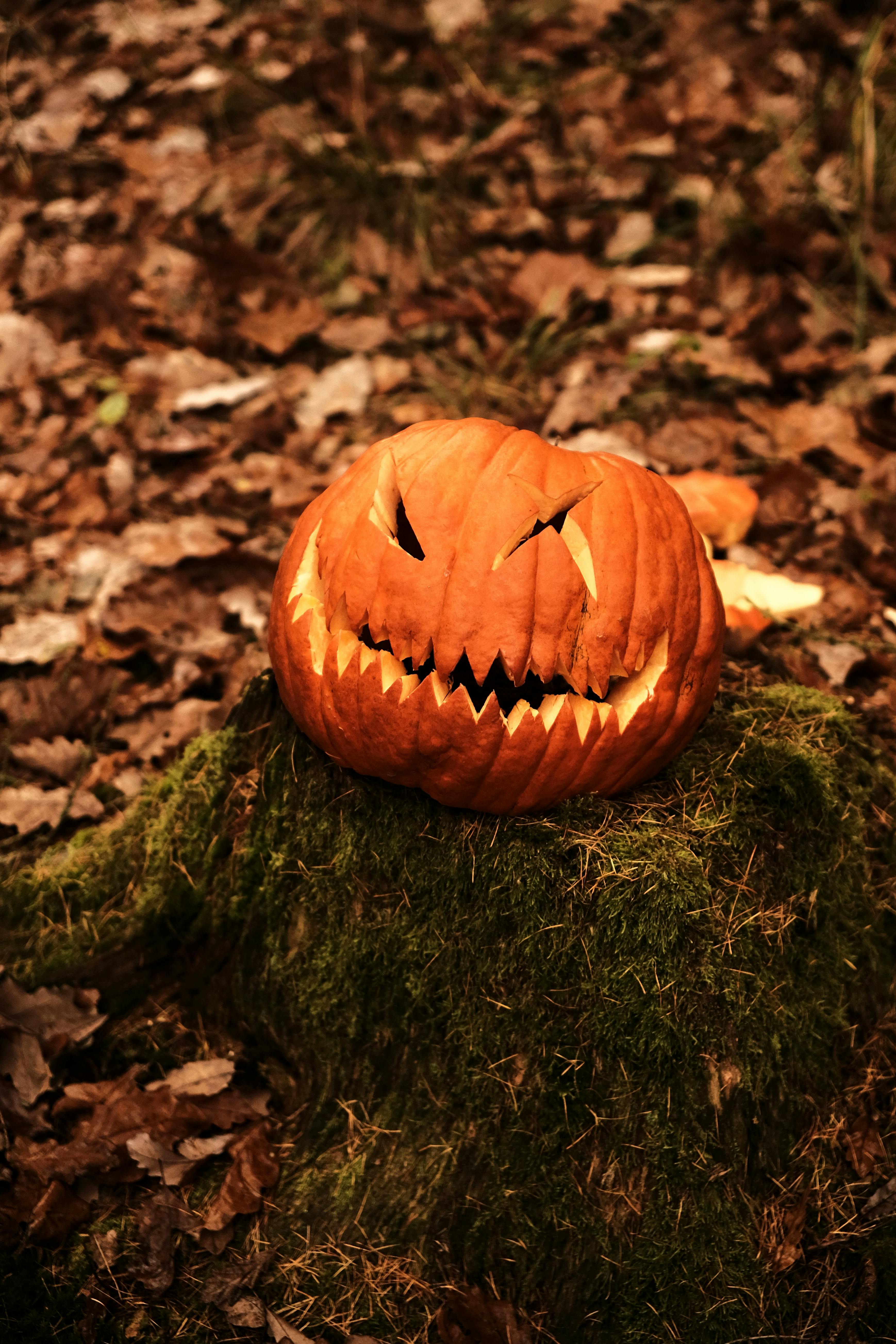 Jack O Lantern Photo, Download The BEST Free Jack O Lantern & HD Image
