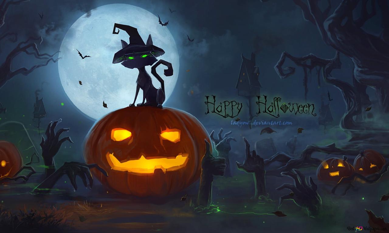 Halloween Wishes From Cat Witch And Pumpkin HD wallpaper download