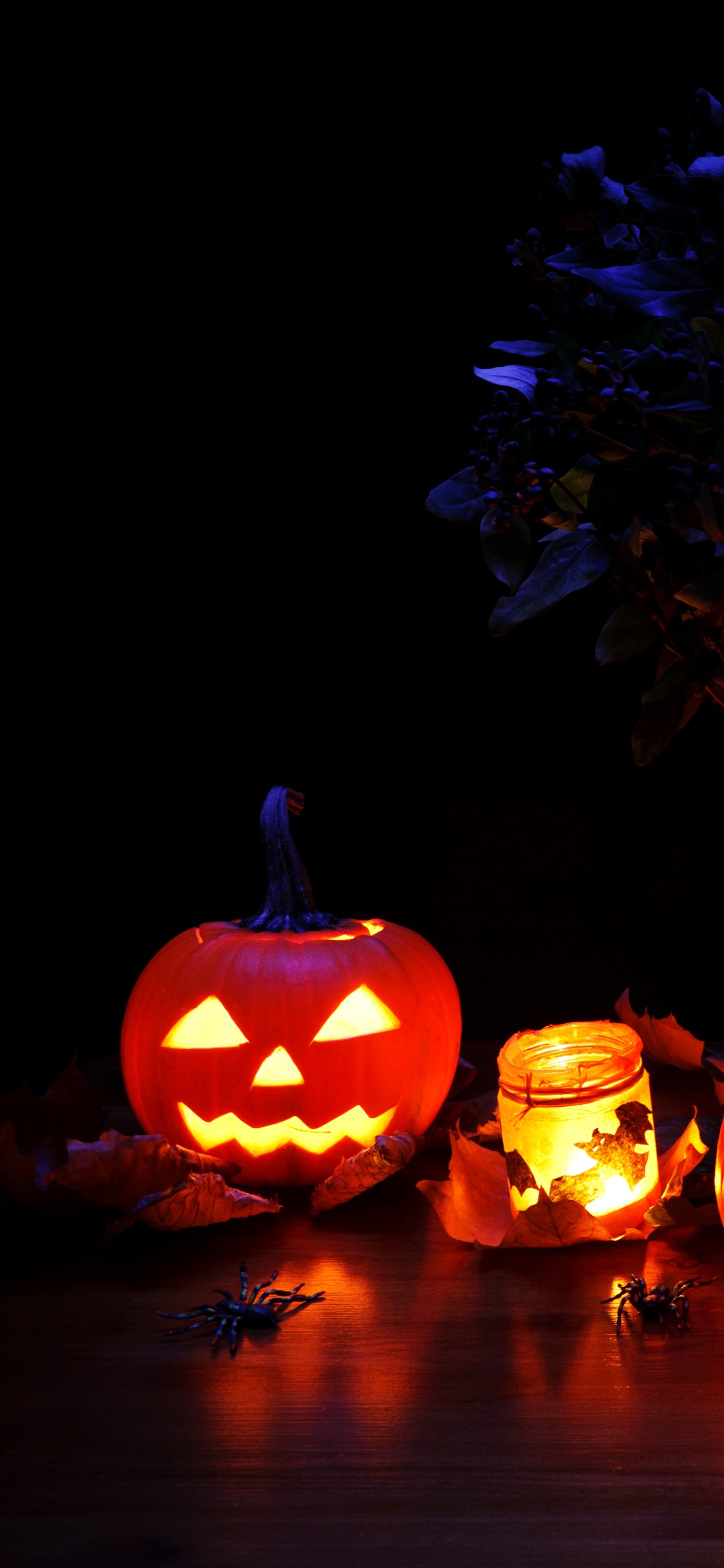 Phone wallpaper: Holiday, Halloween, Pumpkin, Jack O' Lantern 1420468