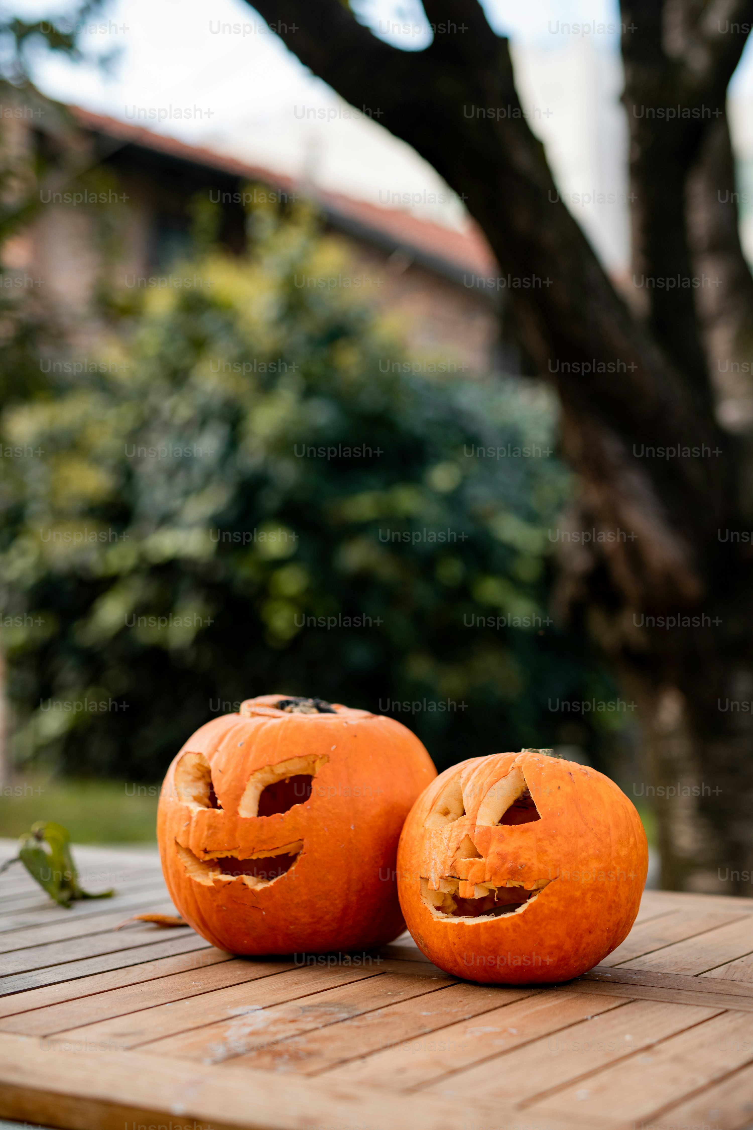 Jack O Lantern Picture. Download Free Image