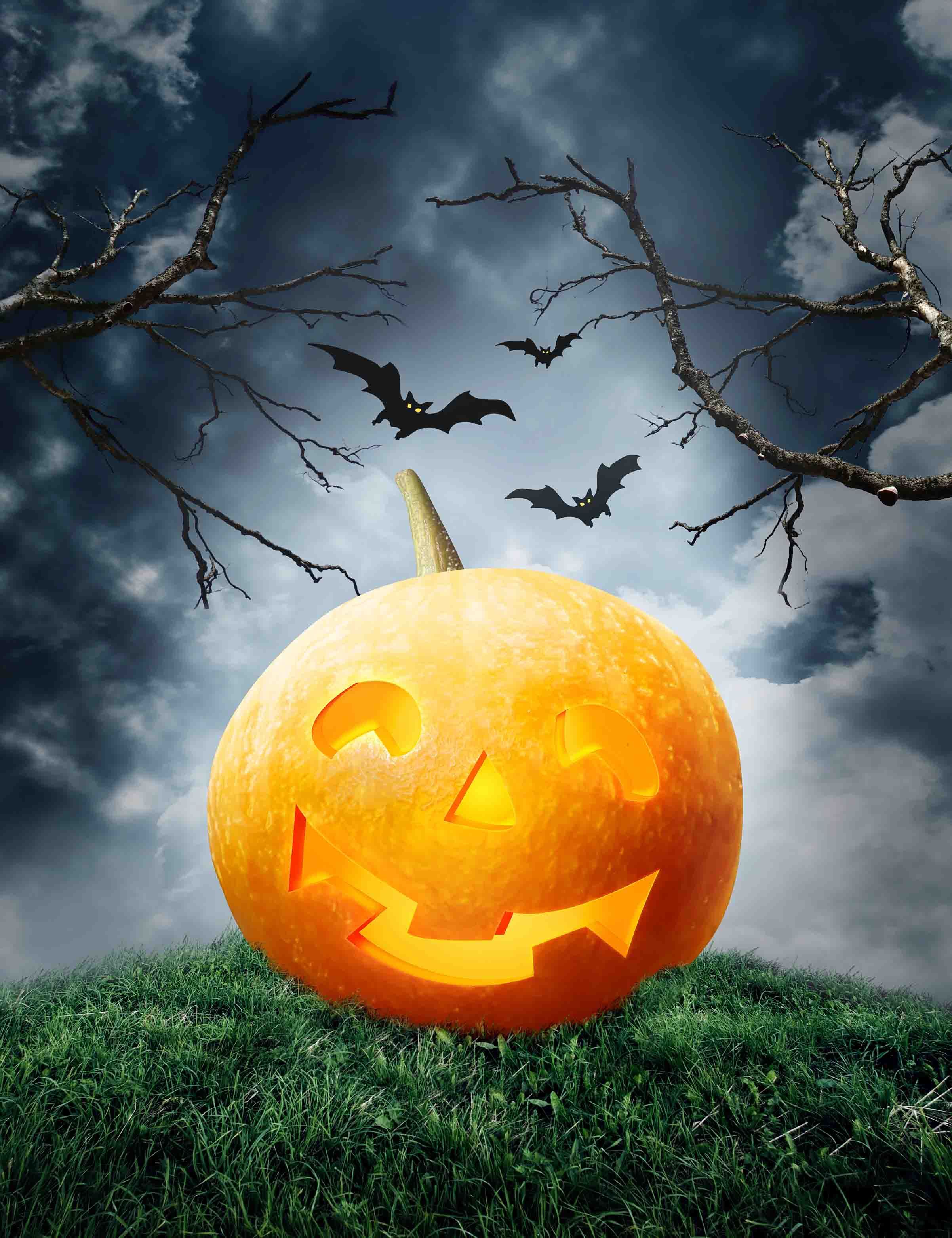 Halloween Pumpkin Lantern On Grass With Gloomy Background For Holiday