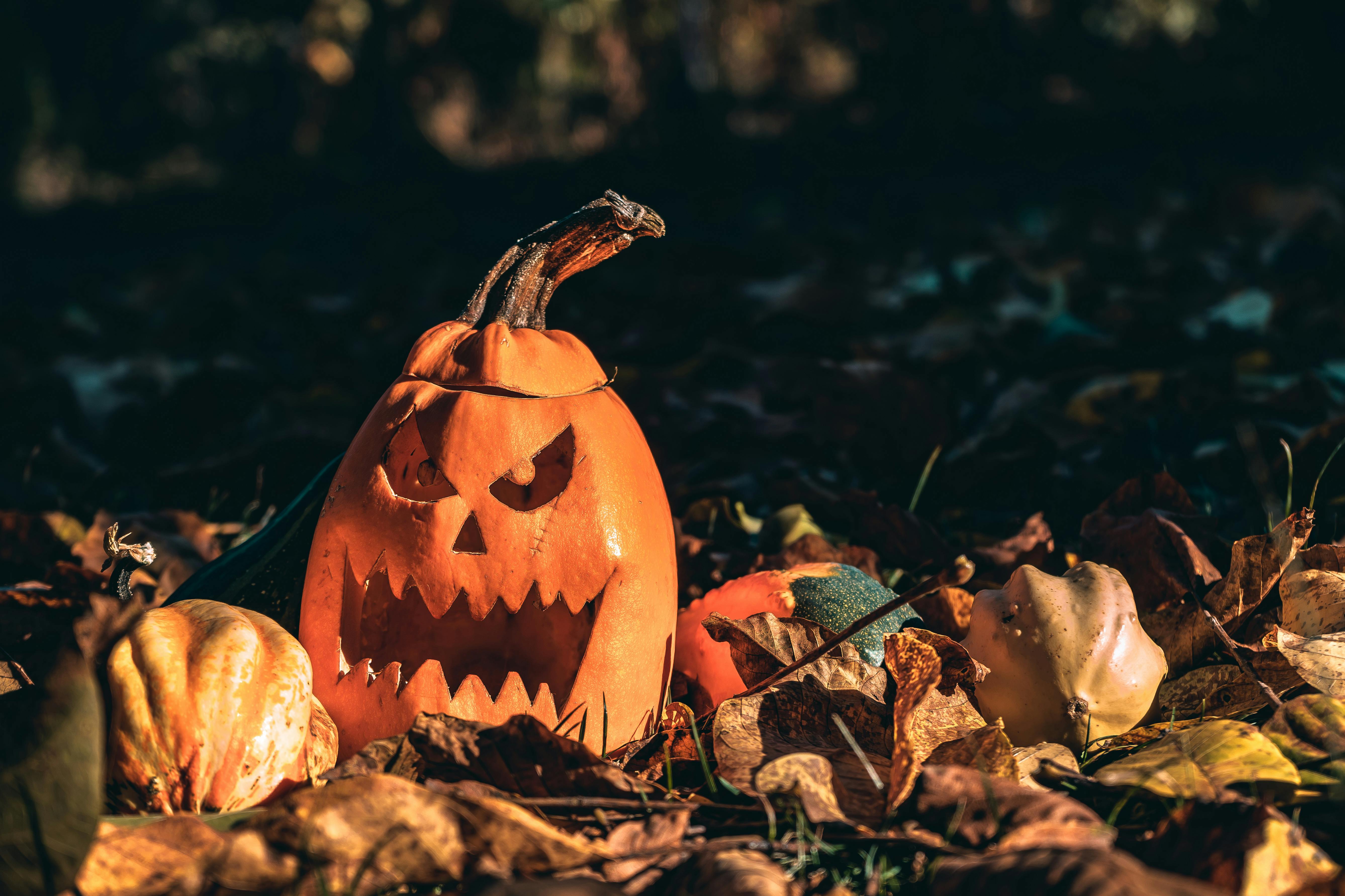 Jack O' Lantern On Ground · Free