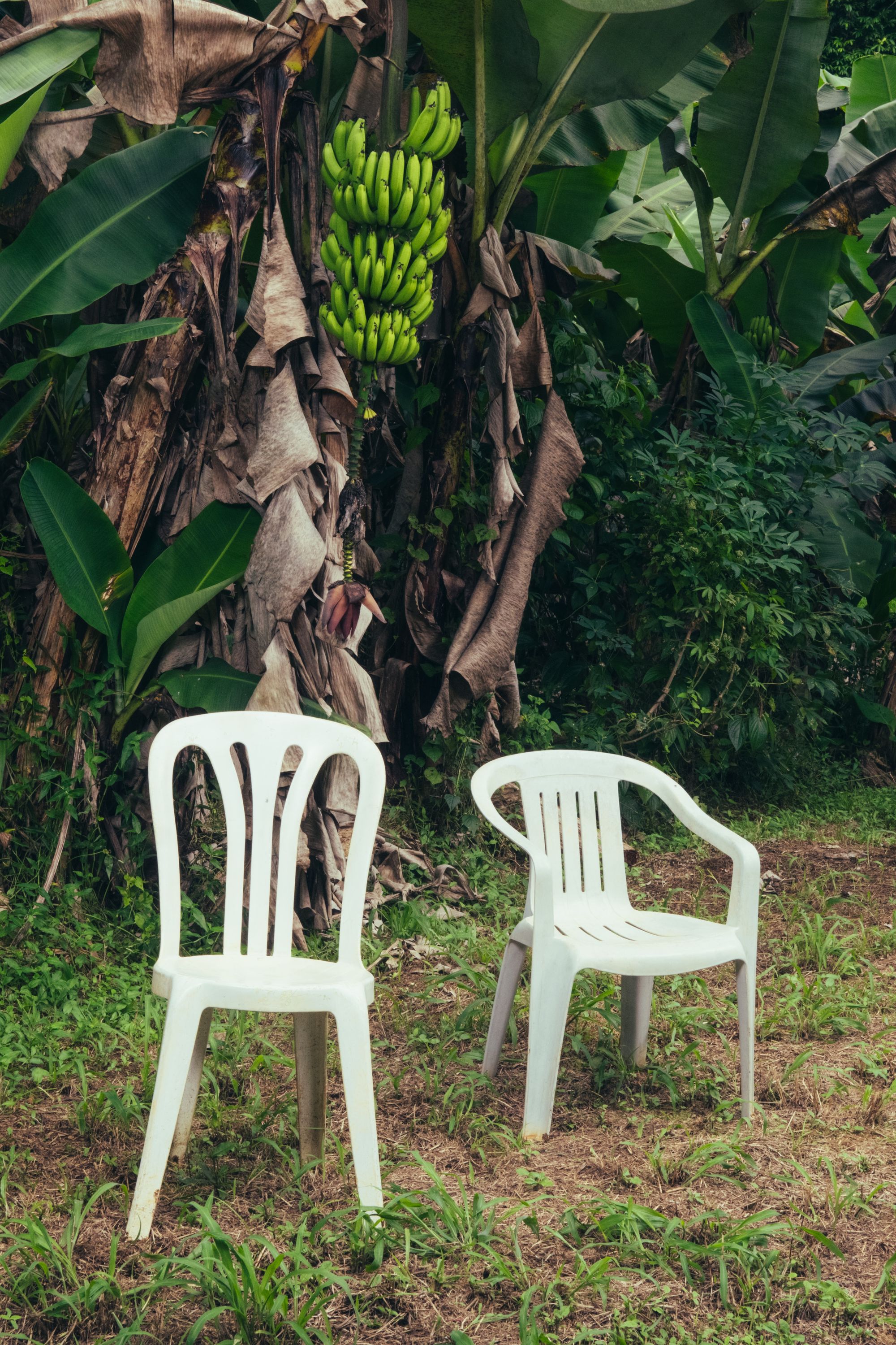 Bad Bunny: DeBÍ TiRAR MáS FOToS Album Review