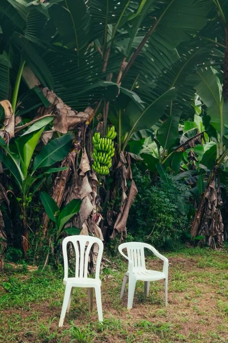 DeBÍ TiRAR MáS FOToS álbum cover wallpaper