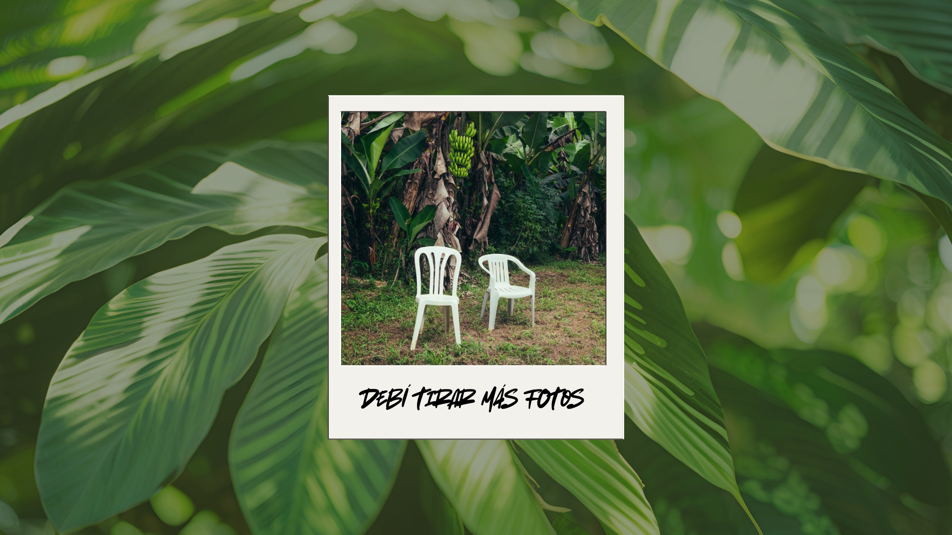 DeBÍ TiRAR MáS FOToS, Navigating Grief, And Gratitude For Where You Come From One Magazine