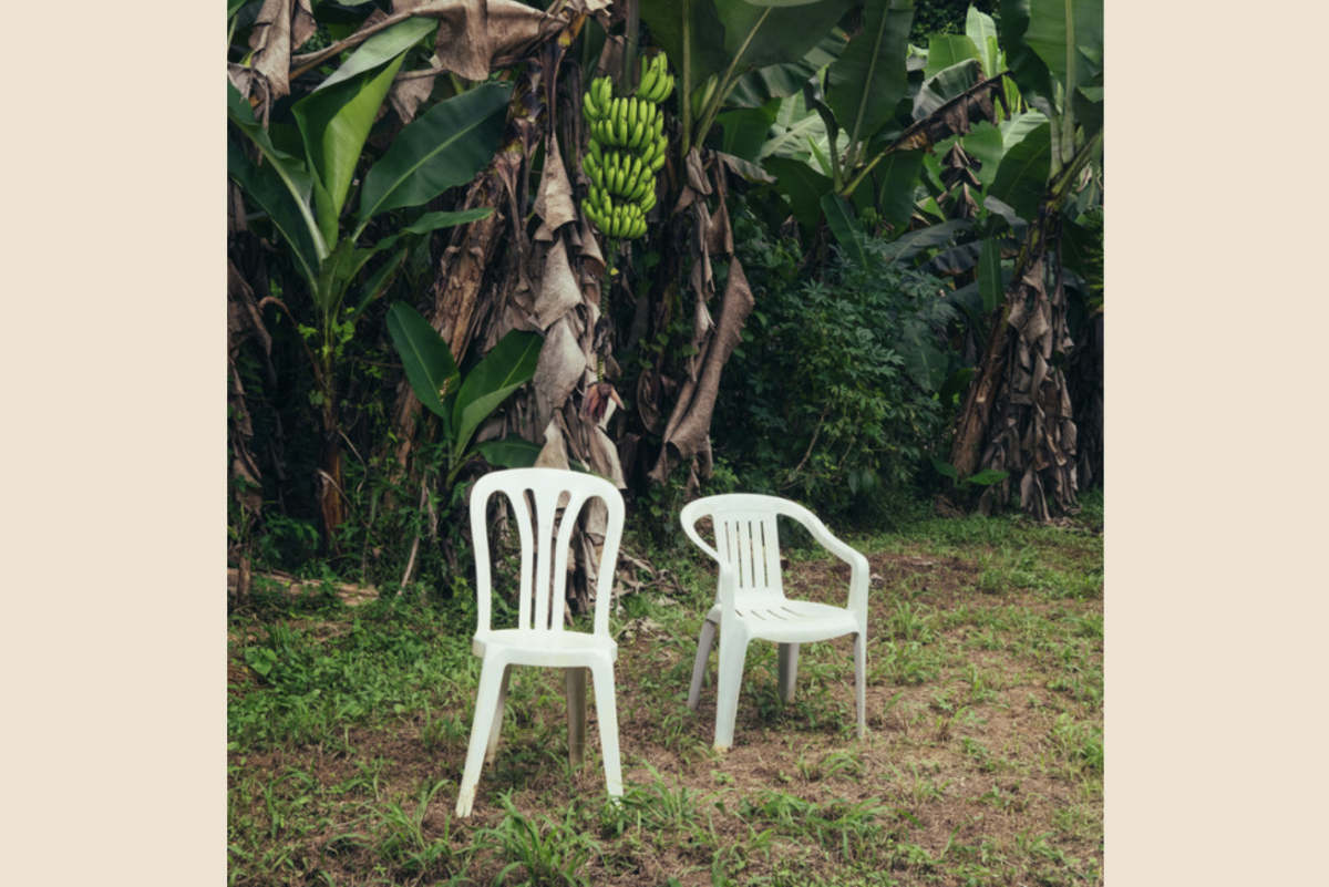 Bad Bunny's 'DeBÍ TiRAR MáS FOToS' Is A Genre Blending Ode To Puerto Rico High Midway