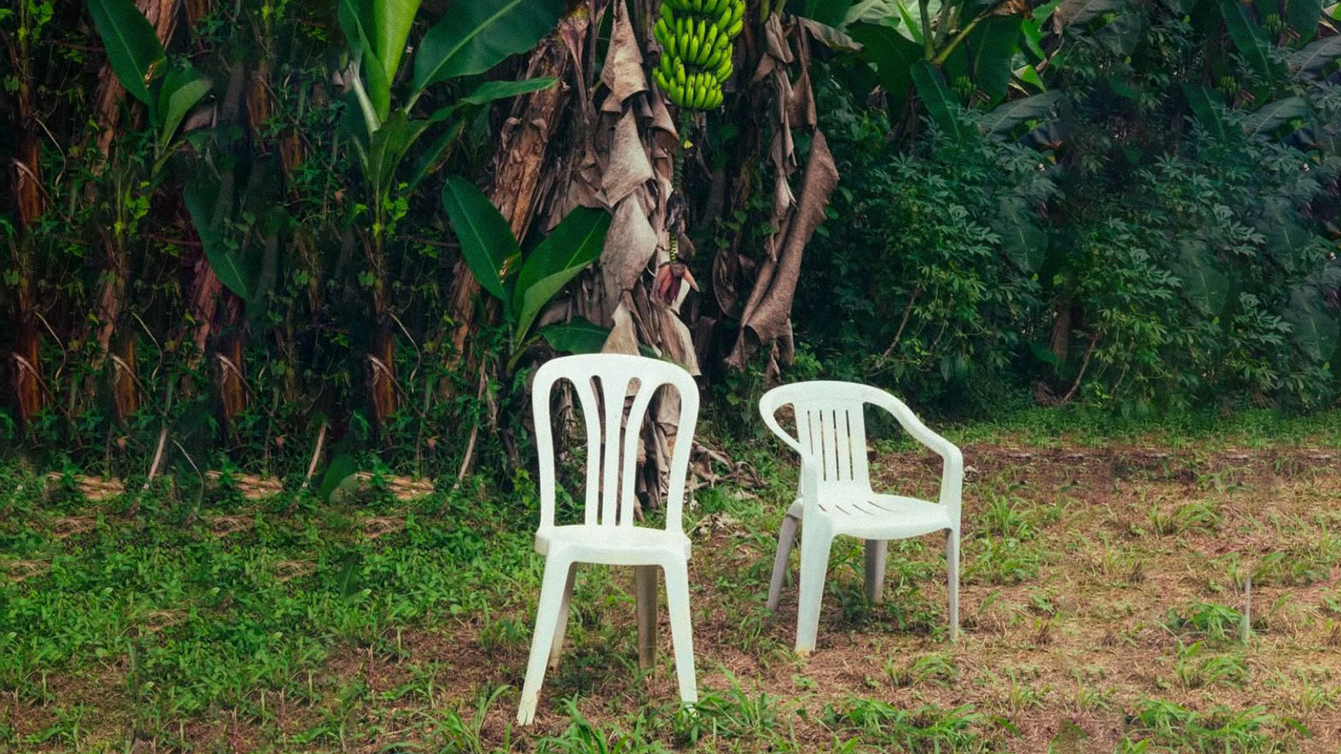 Bad Bunny's Marketing Strategies in 'DeBí TiRAR MáS FOToS'