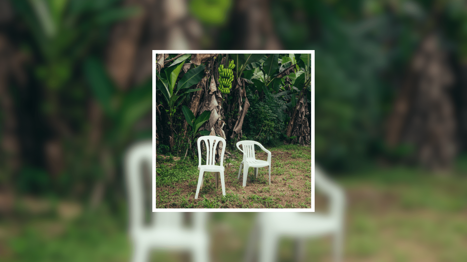 Bad Bunny Celebrates His Puerto Rican Roots on 'DeBí TiRAR MáS FOToS'