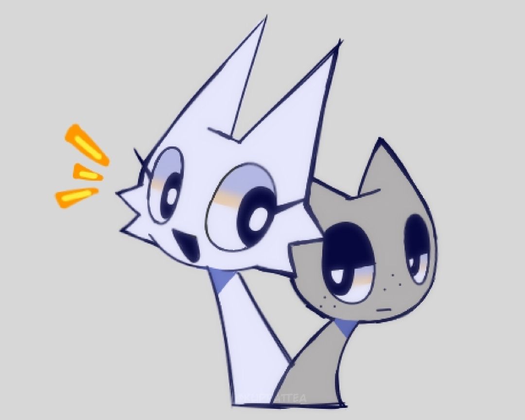 KUPPATTEA. Cara Social & Portfolio Platform