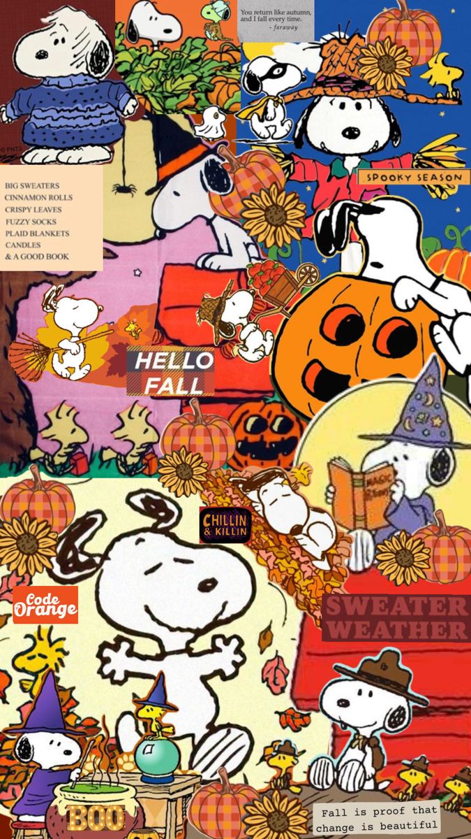 For the Snoopy an Fall lovers