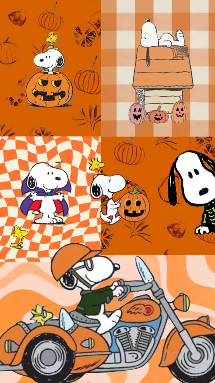 Snoopy #snoopy #orange #halloween #fall #autumn #october #wallpaper # background