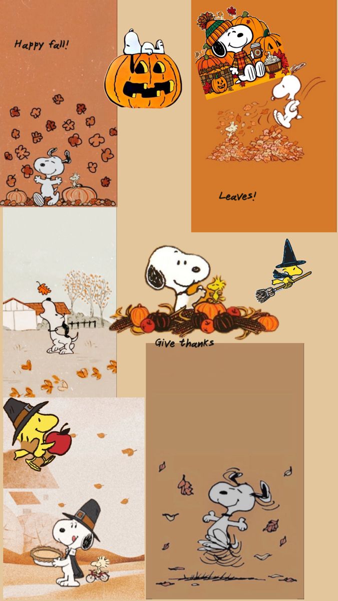 Wallpaper. Cute fall wallpaper, Halloween wallpaper iphone background, iPhone wallpaper fall