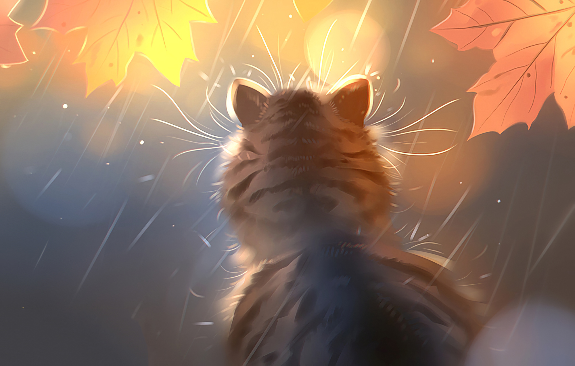Kitten Rain Digital Art Laptop Full HD 1080P , HD 4k Wallpaper Image, Background, Photos and Picture