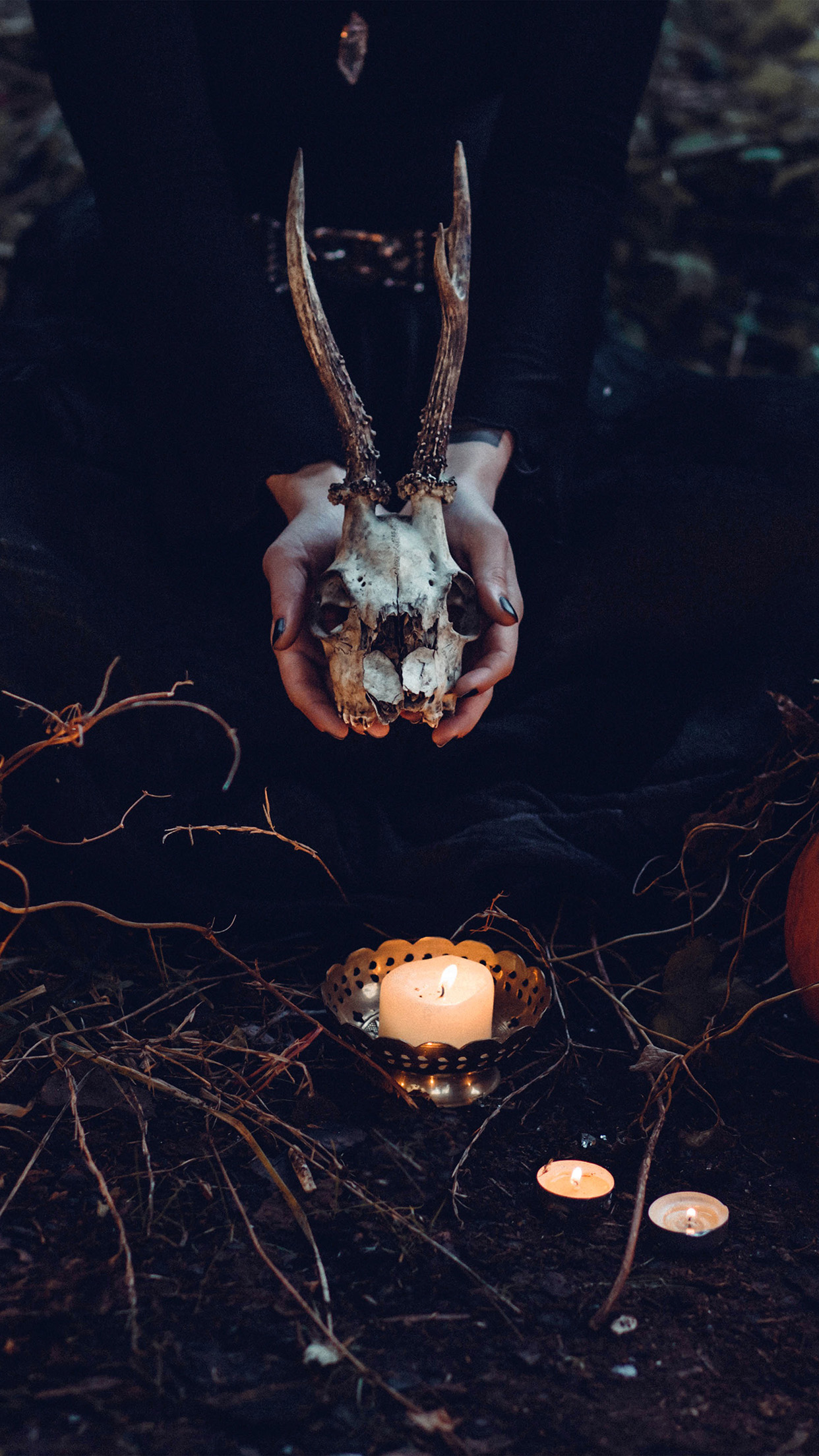 iPhone X wallpaper. halloween pumpkin skull dark nature