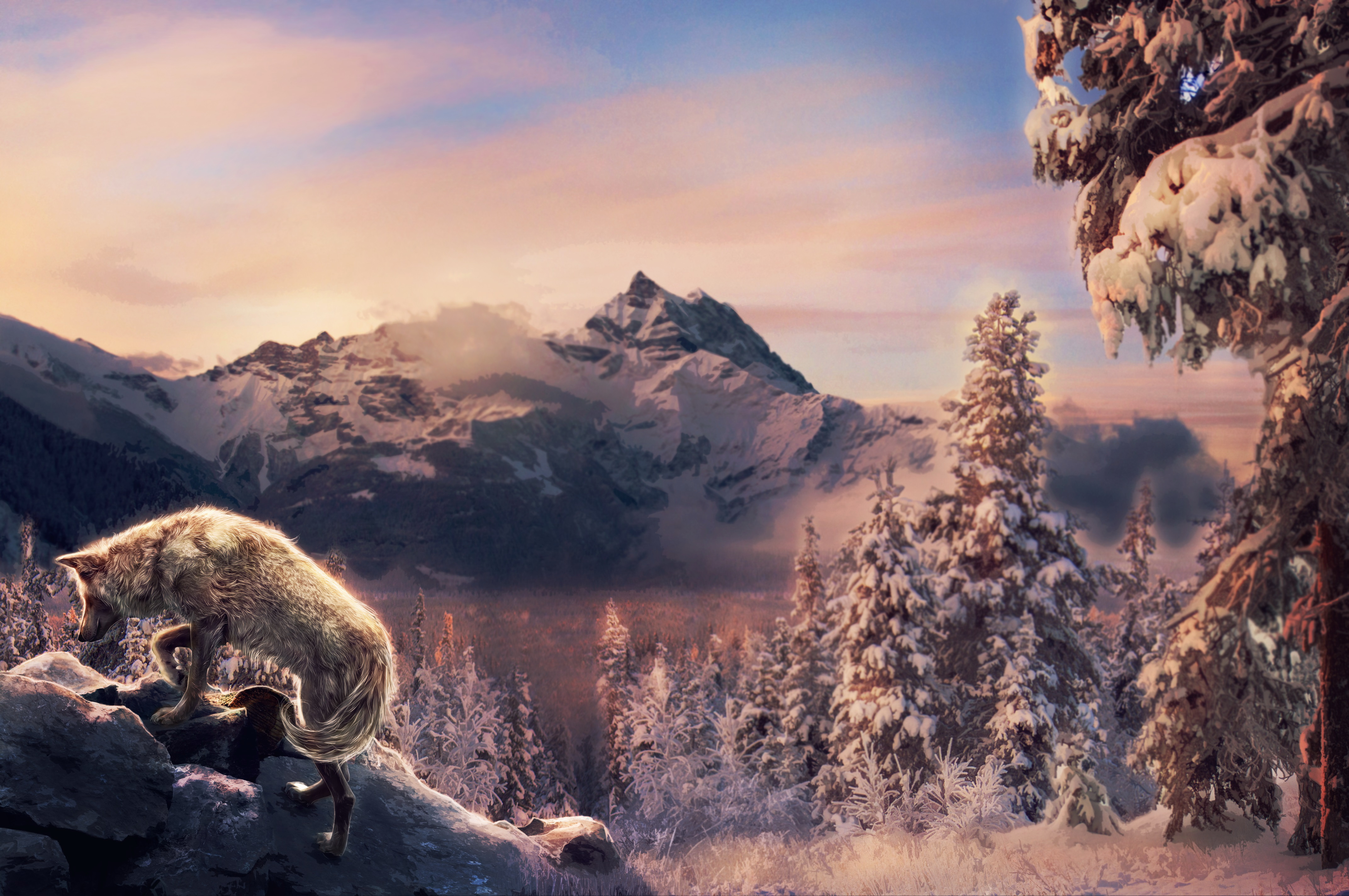 Nature Winter Animals Wallpapers - Wallpaper Cave