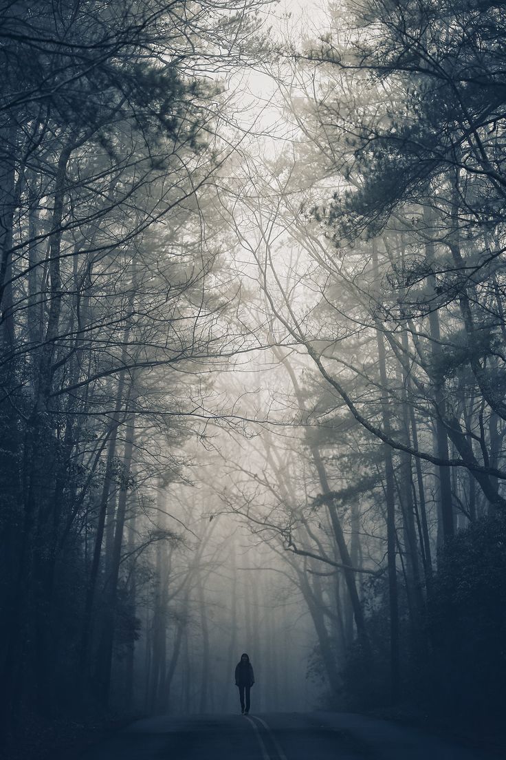 HD wallpaper: photo of person walking on road surrounded by trees during noontime