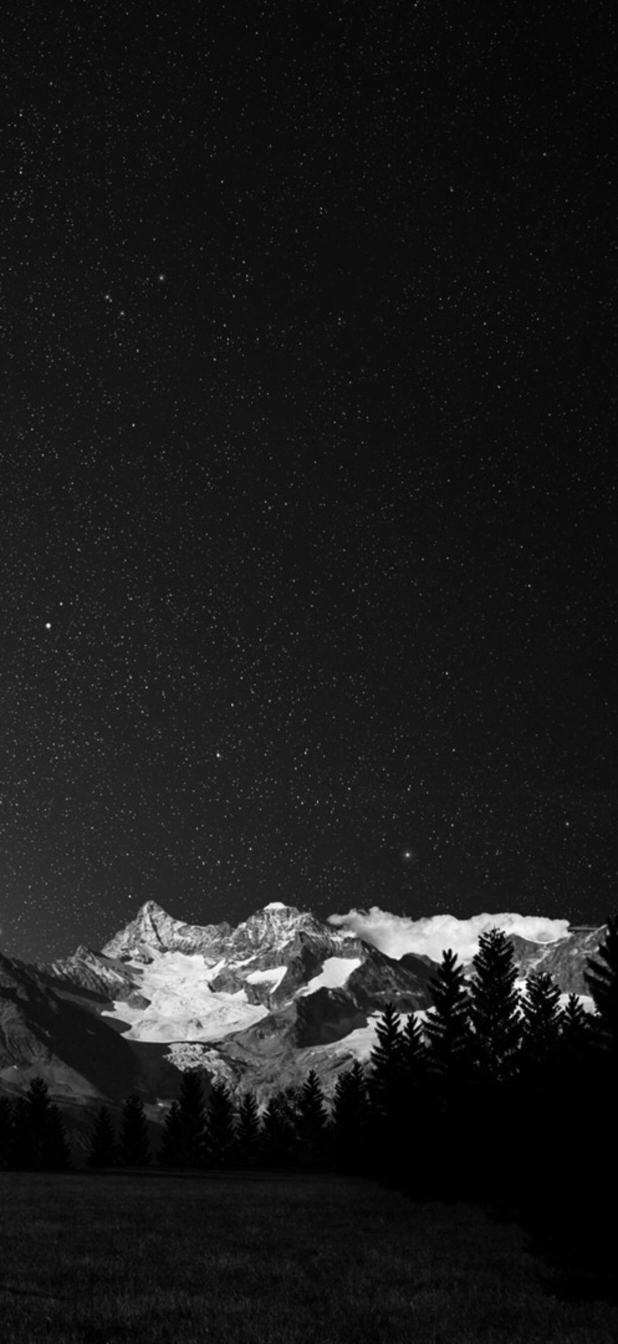 Wallpaper wallpaper milky way dark alone tree 1242x2688 iPhone XS Max from virtual image and screensavers