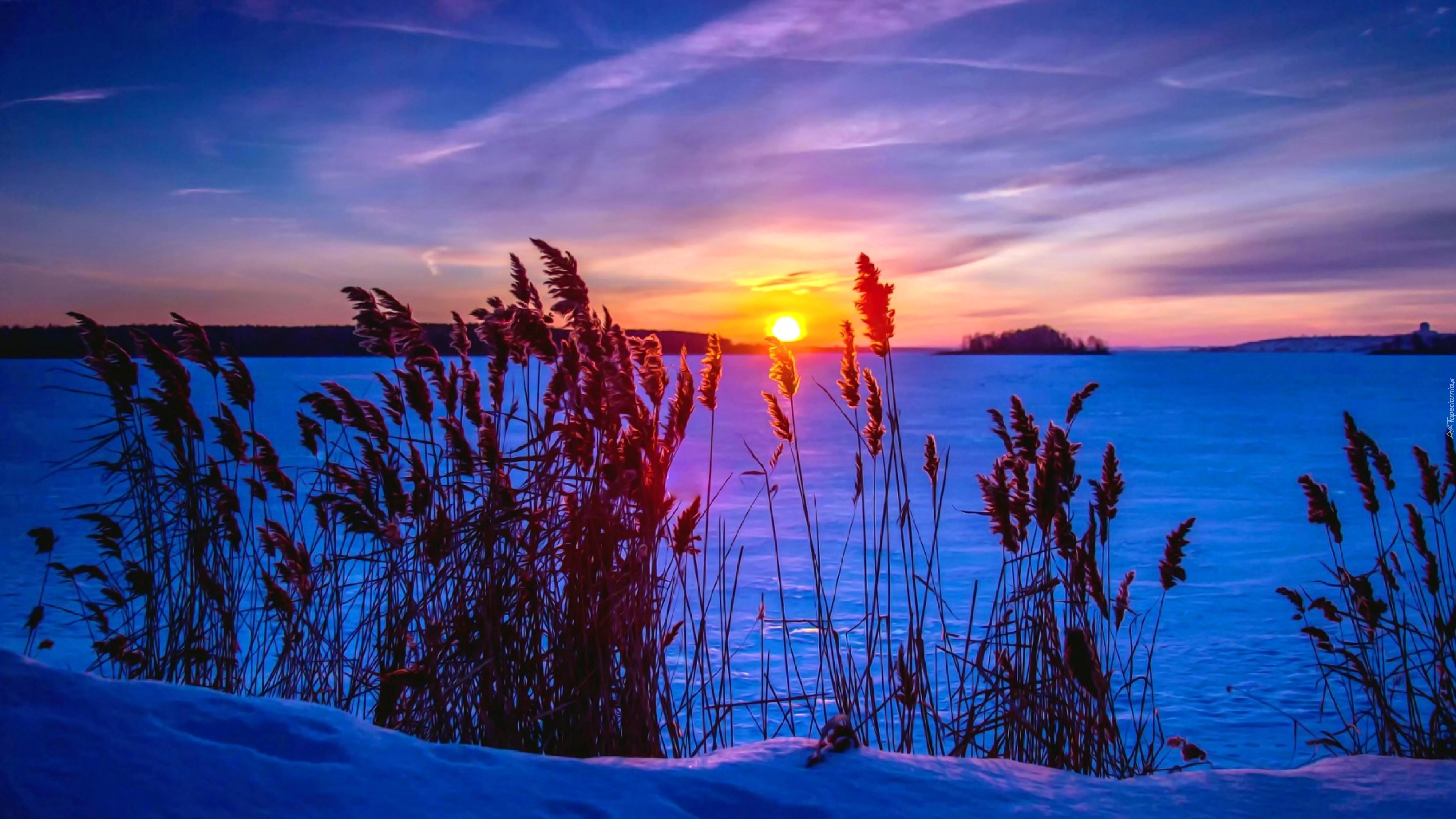 Wallpaper Sunset, Winter, Snow, Nature, Natural Landscape, Background Free Image
