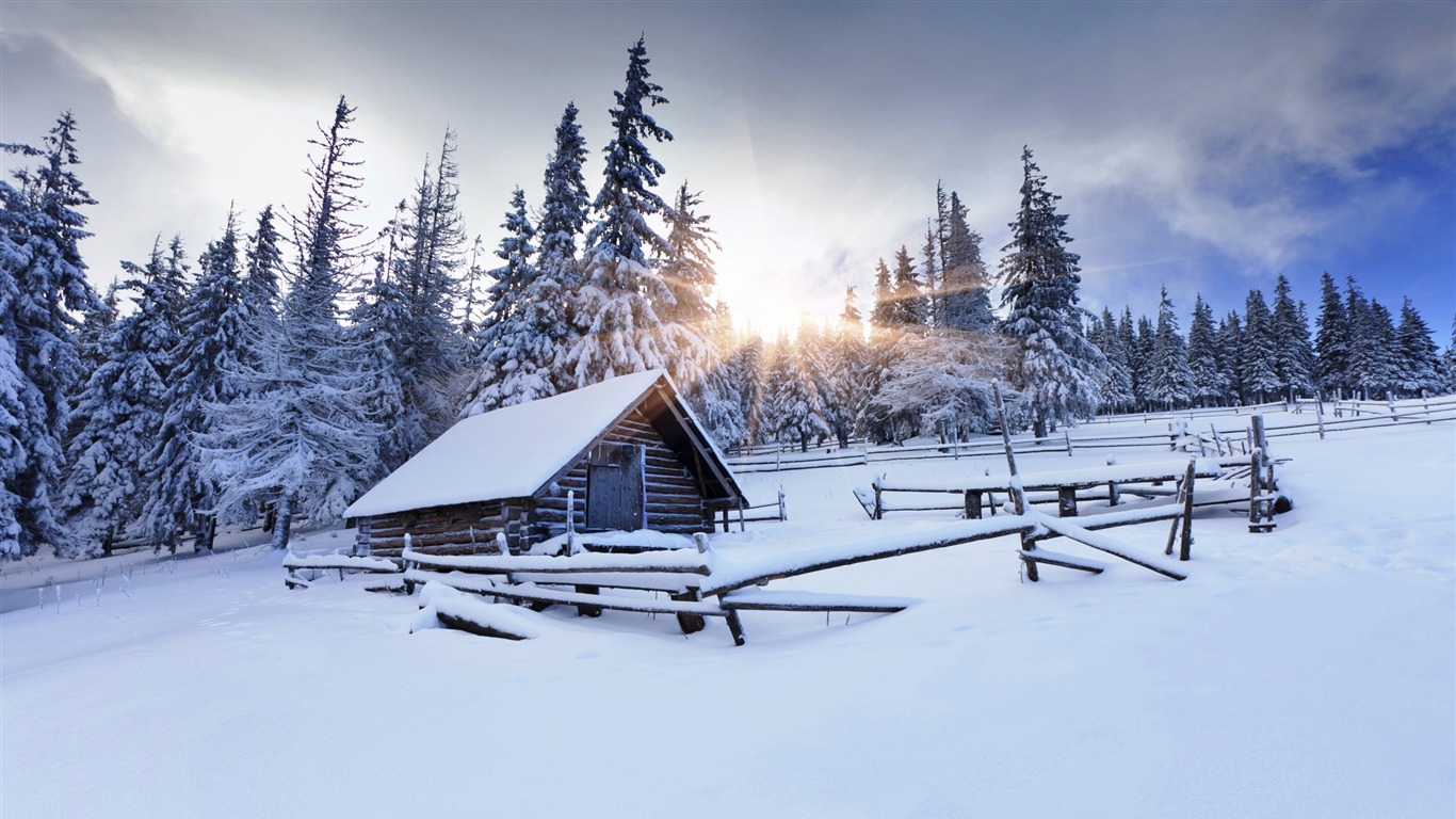 Winter Forest Mountain Sun Snow Nature HD Photo Wallpaper