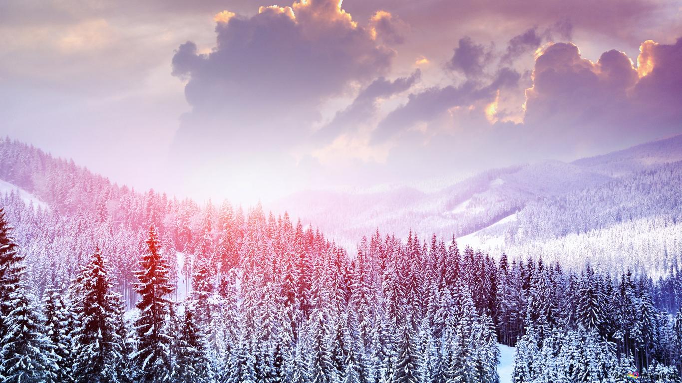 Winter forest and sunset 4K wallpaper download