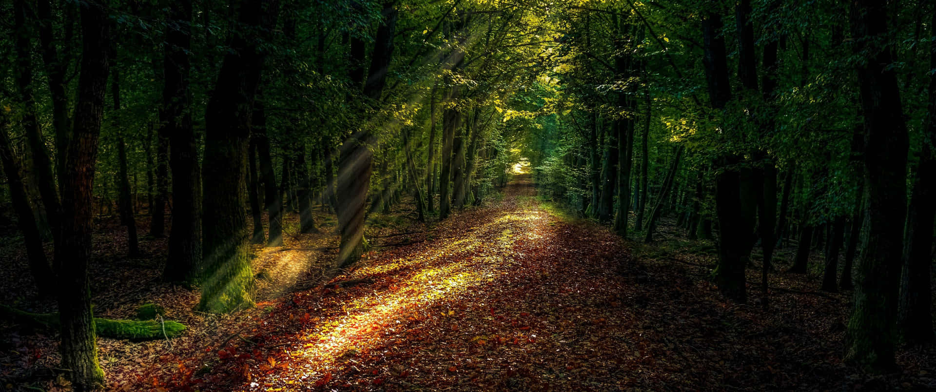 Download Beautiful Fall Landscape Wallpaper