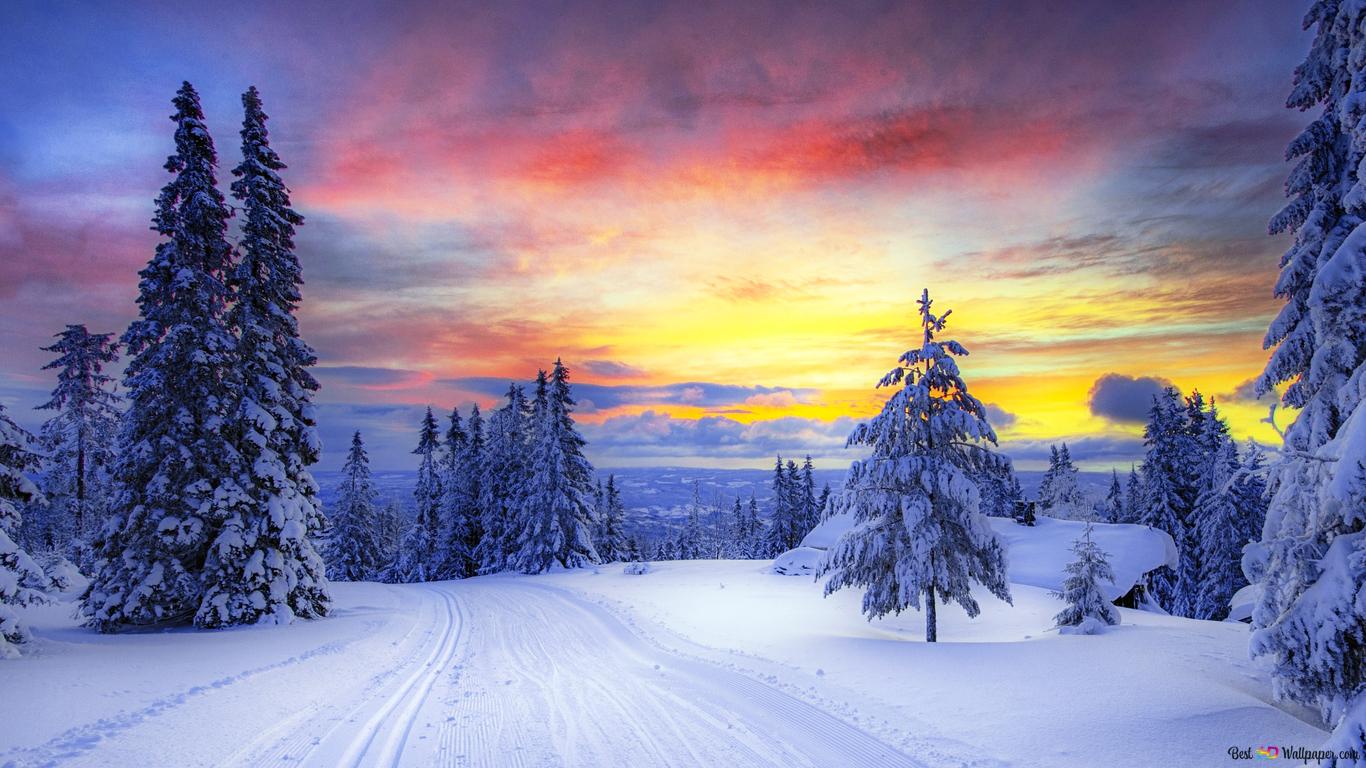 Beautiful snow road in the forest in winter 2K wallpaper download