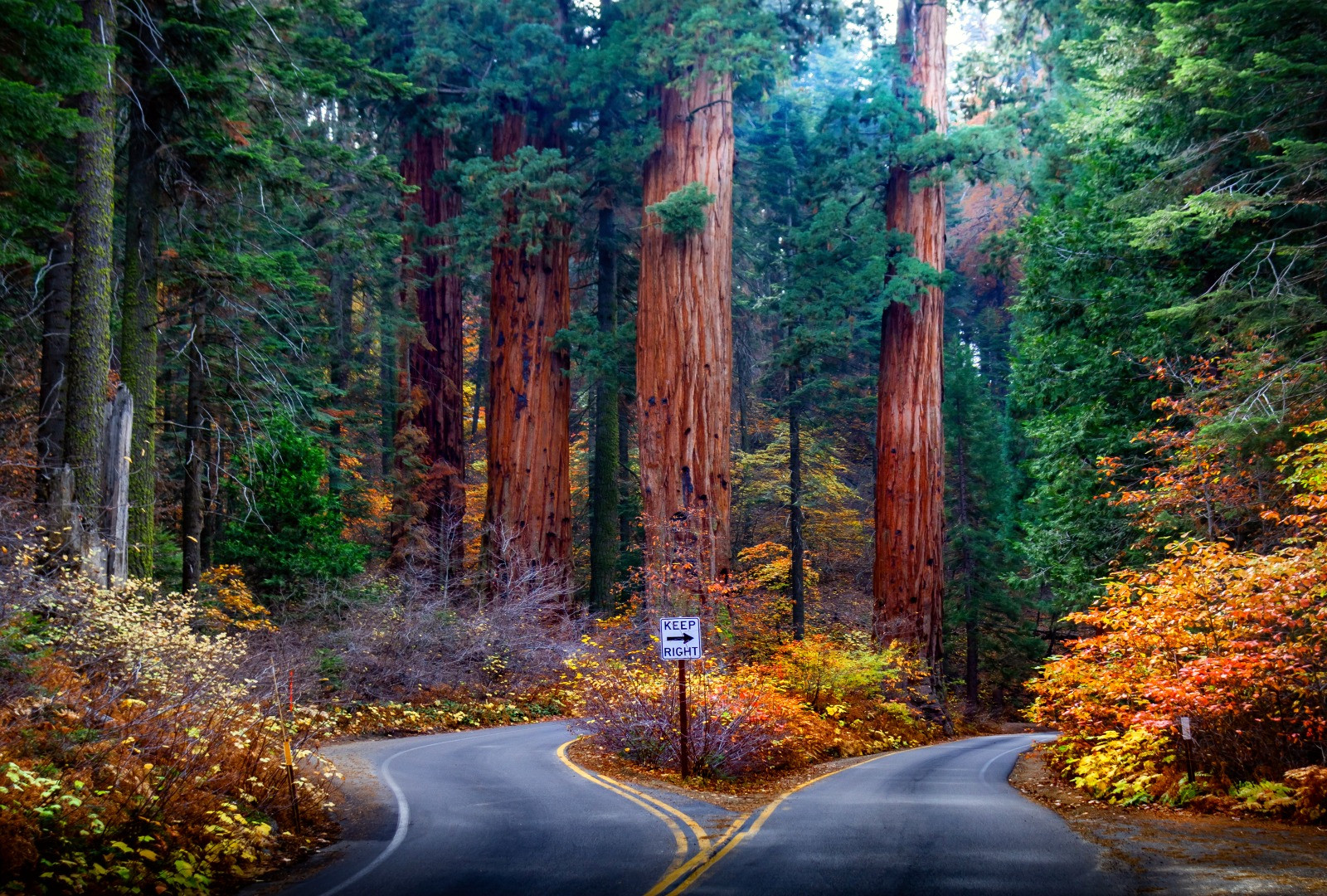 Fall Is The Best Time To Visit This California National Park