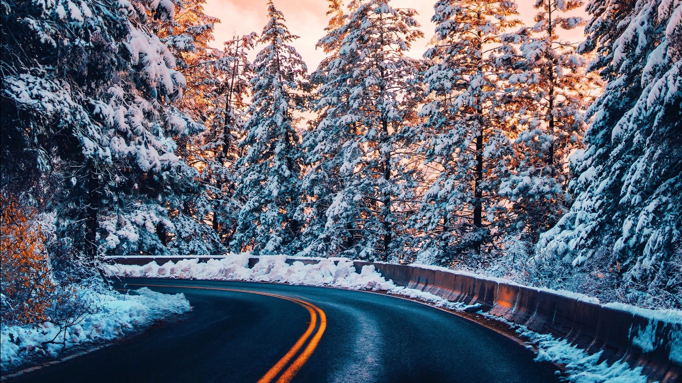 Winter Forest Road Wallpaper