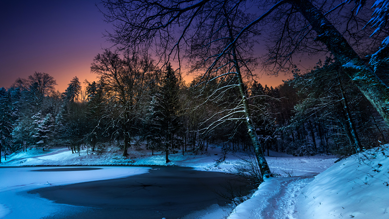 Photo Winter Nature Snow Forests Night Trees Seasons 1366x768