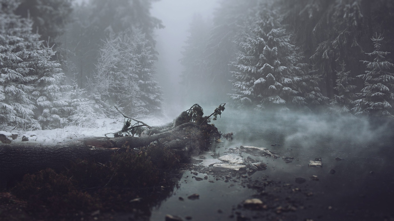 Download Forest fog winter, Forest, Fog, Winter Wallpaper in 1366x768 Resolution