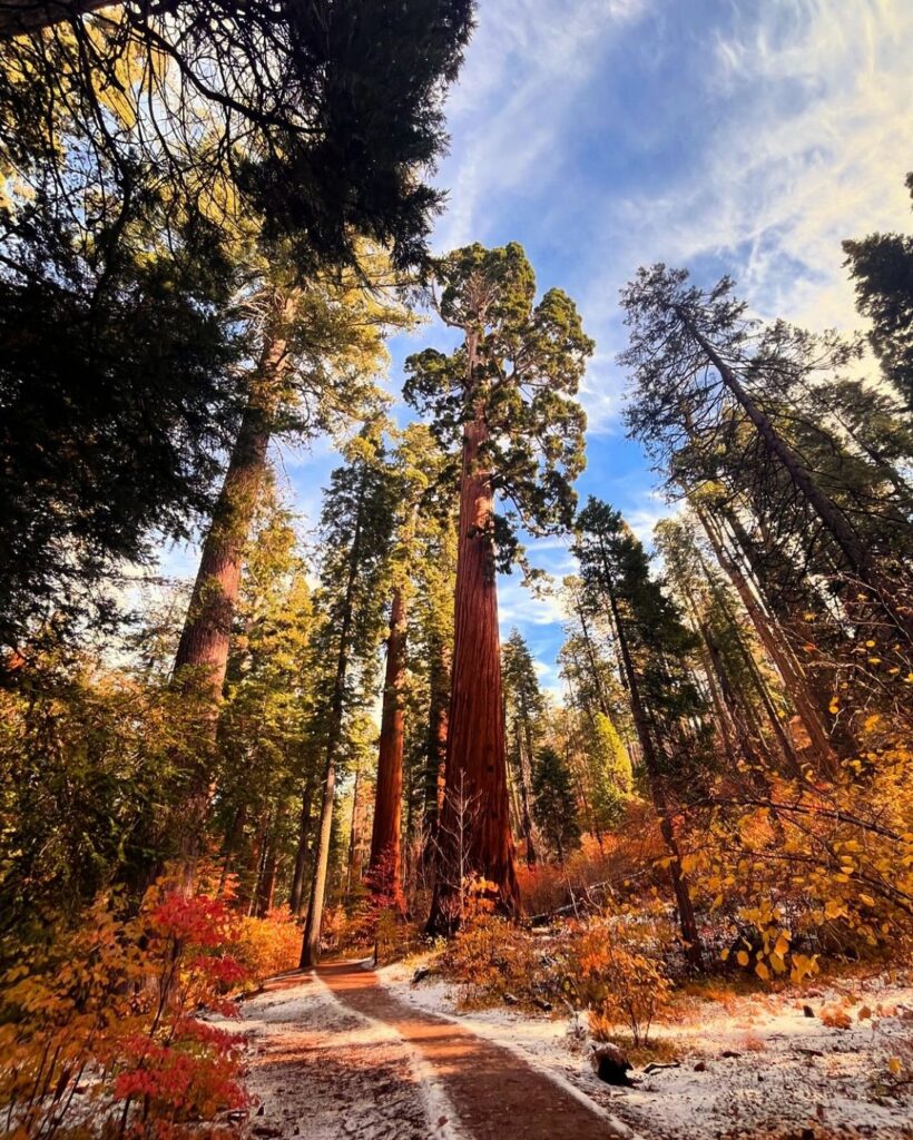 Easy Autumn Hikes for the Whole Family in Calaveras