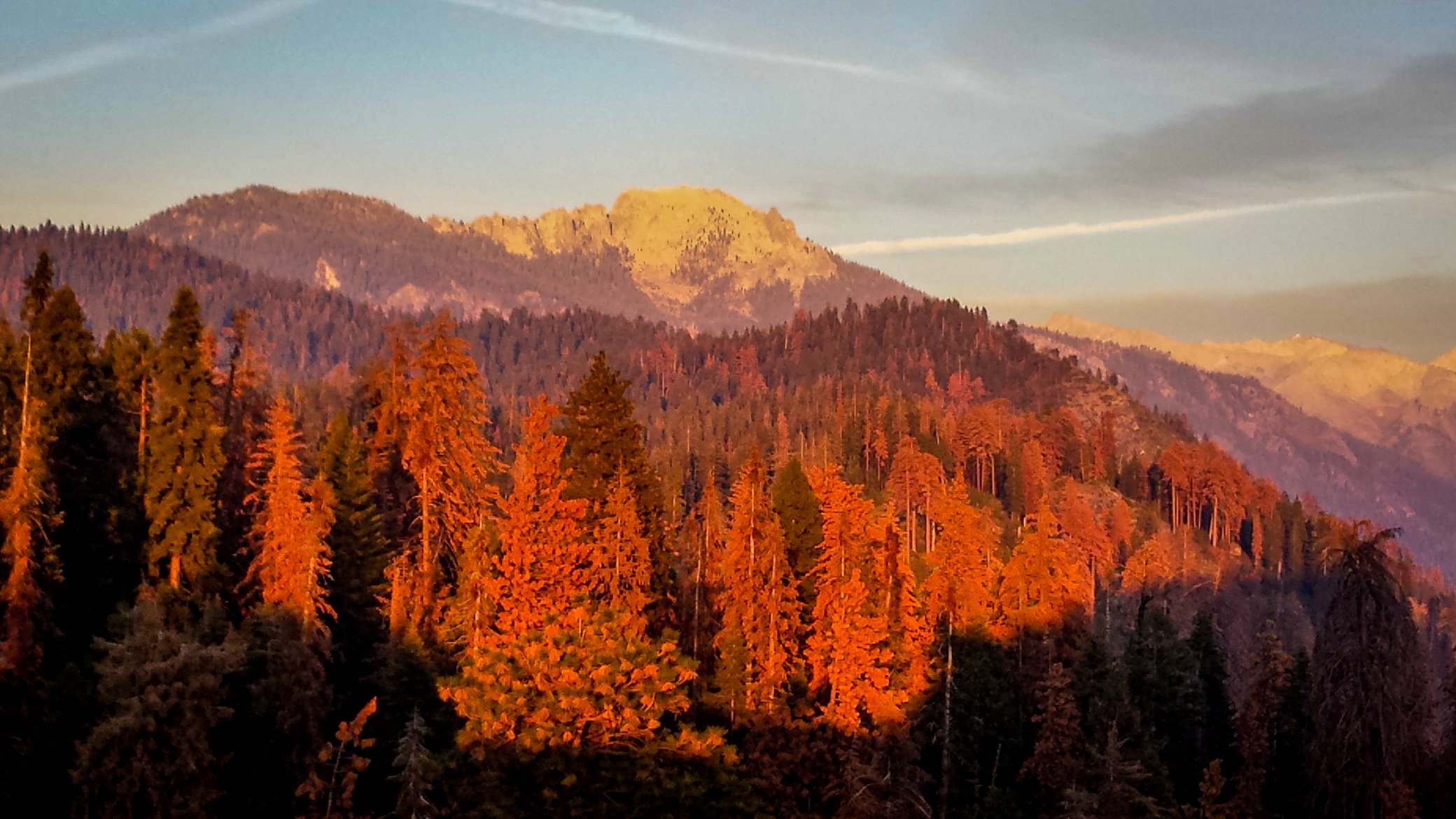 Special Report: Death of the Sierra