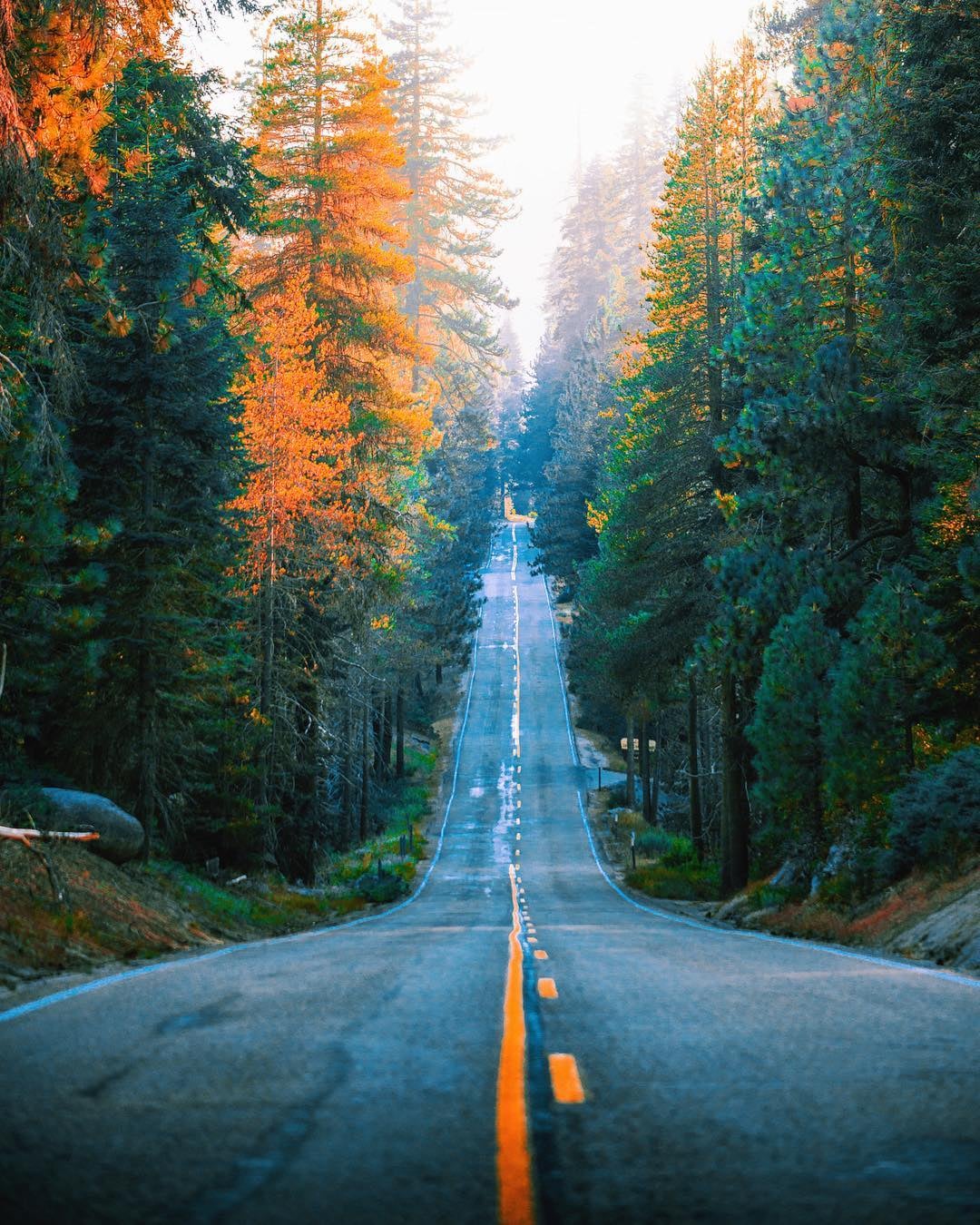 Road to Sequoia National Park, California