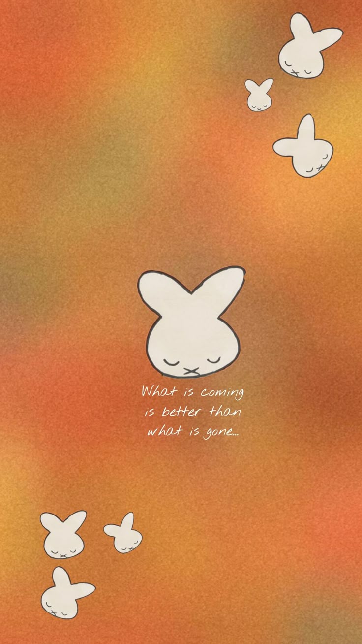 Miffy orange wallpaper