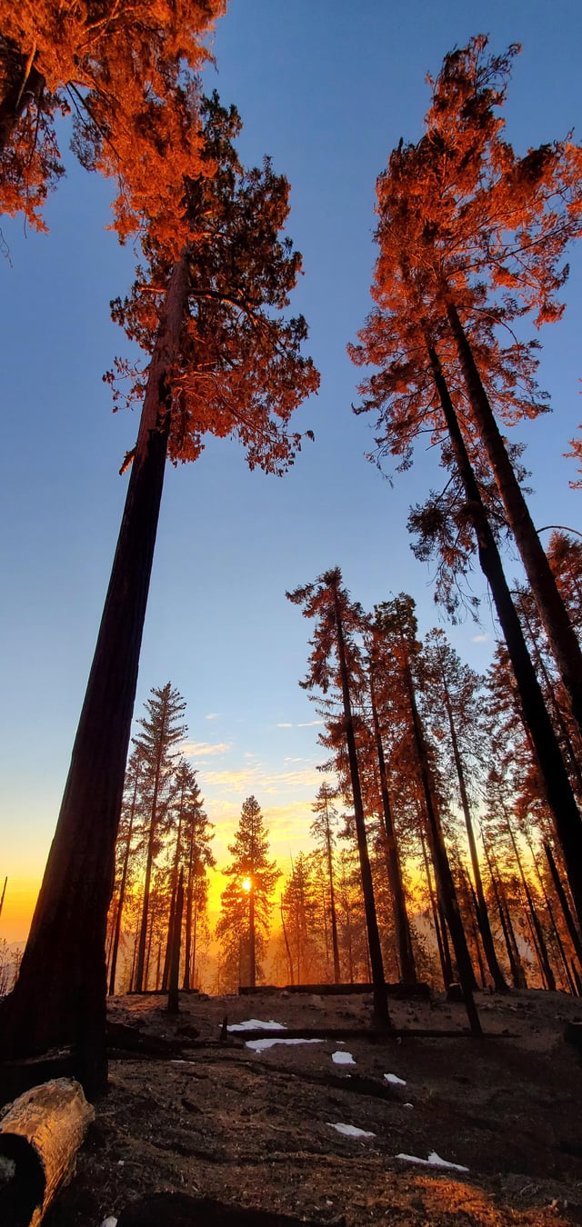 Fire Sunset, Sequoia National Park, CA [OC]