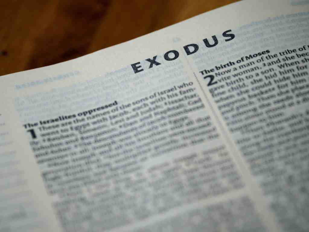Exodus Is a Type of Salvation: A Lesson in Responsibility Longer Lukewarm % %