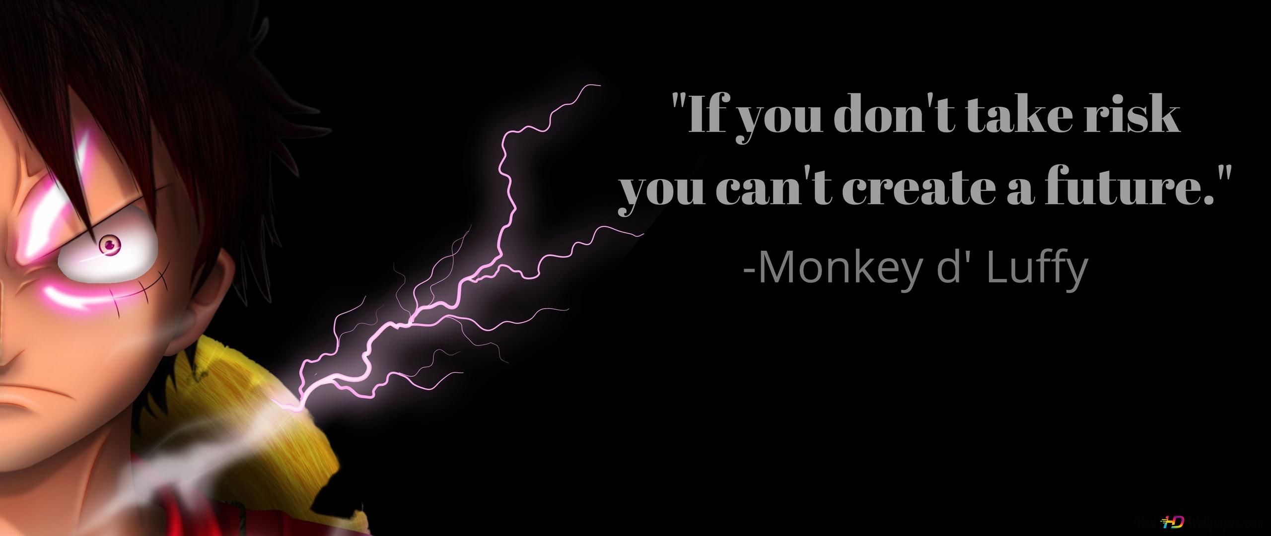 If you don't take risk you can't create a future D luffy 4K wallpaper download