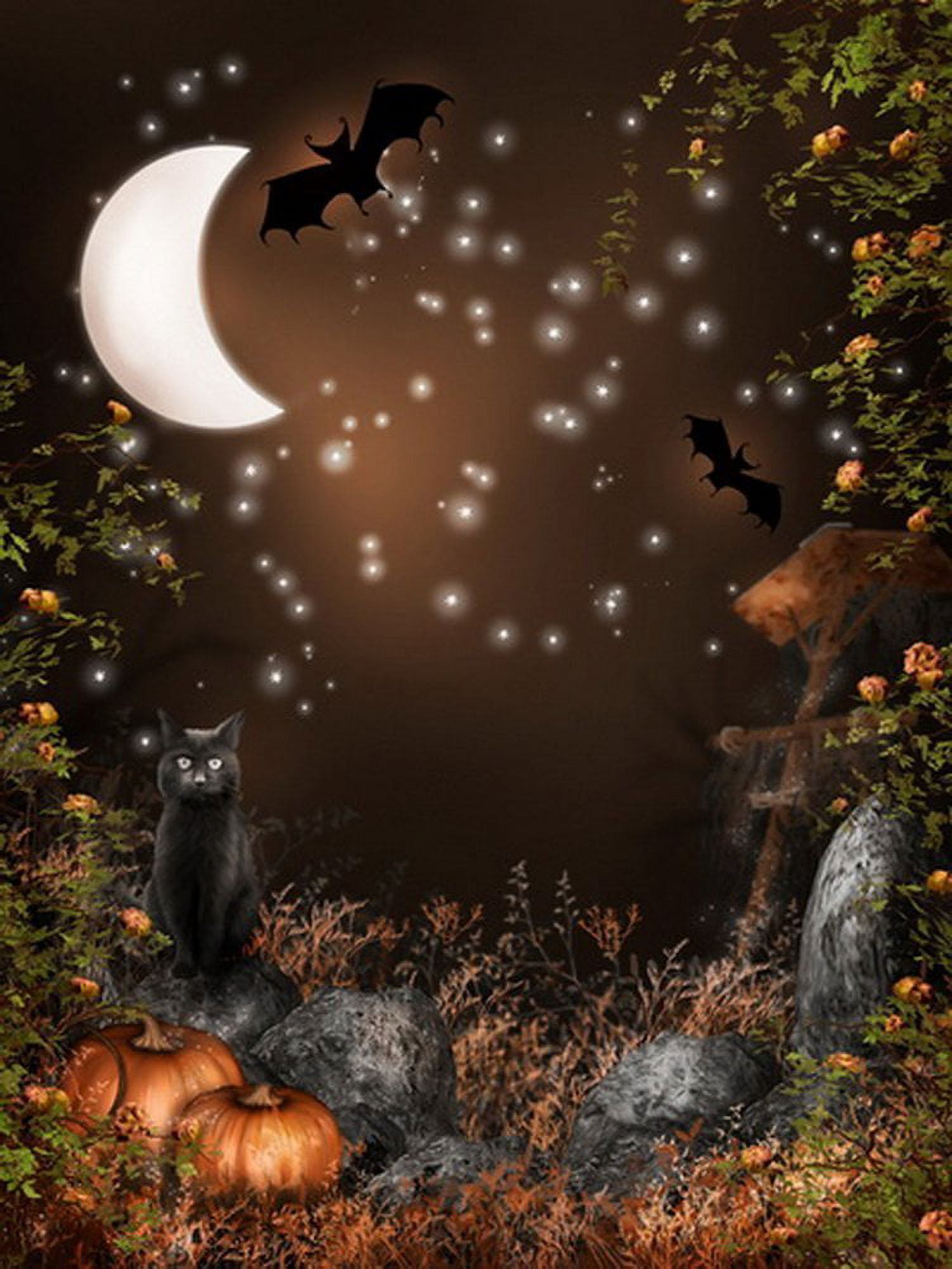 MOHome 5x7ft Spooky Halloween Scary Black Cat Bats Pumpkins Moon Stars Photography Backdrops Indoor Studio Background Photo Props