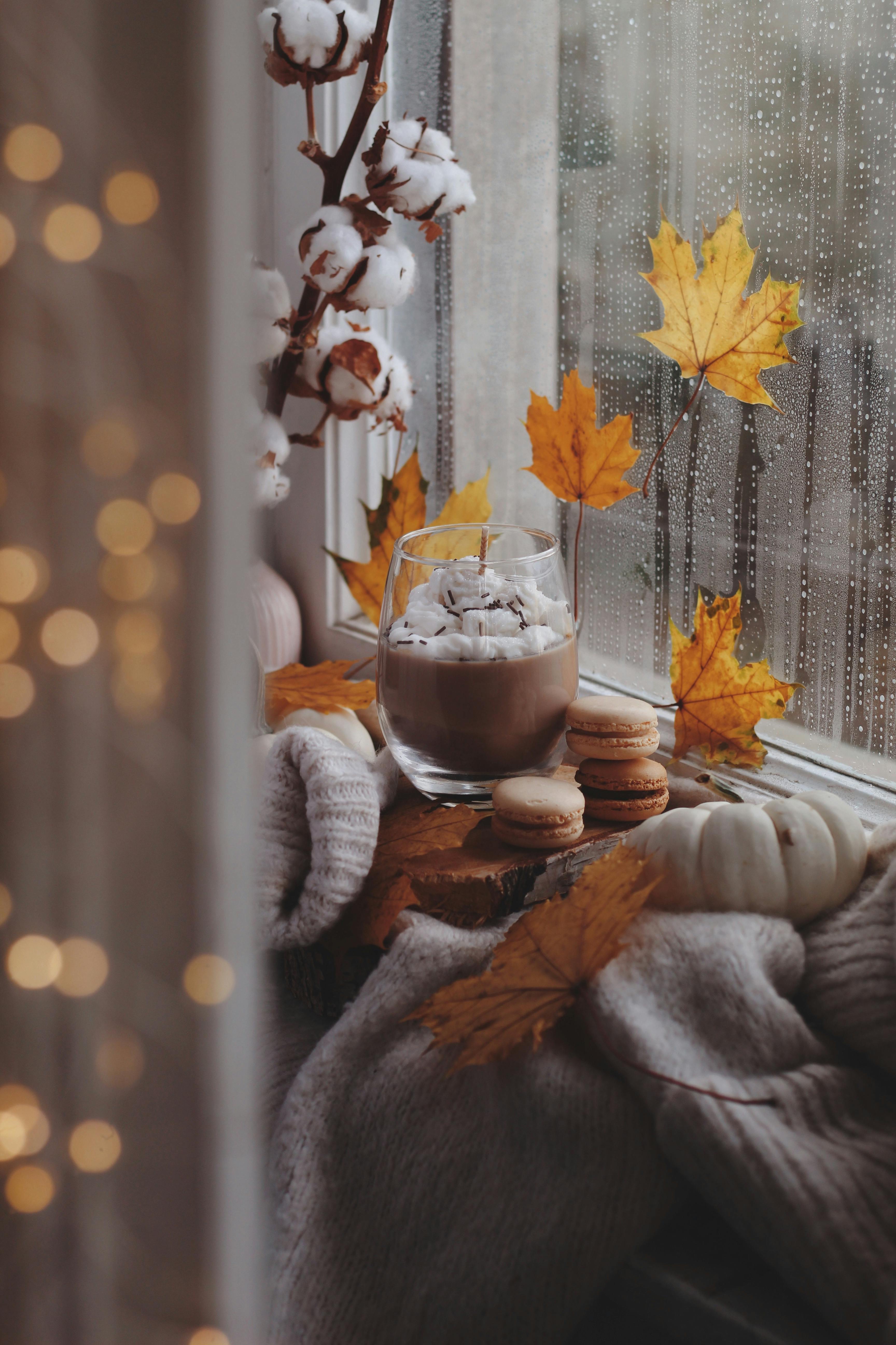 Leaves and Cookies on Windowsill in Rain · Free