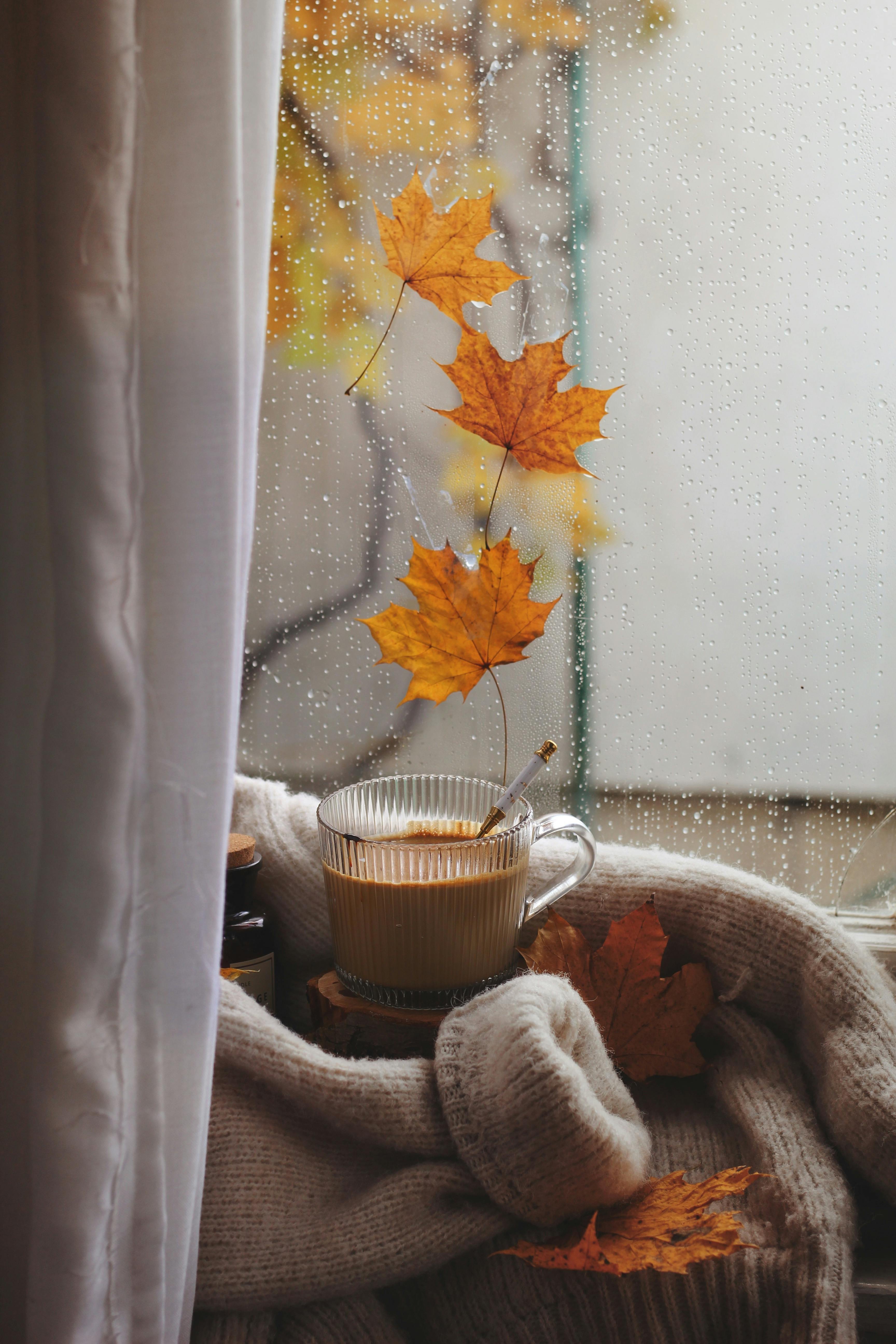 Cup of Coffee on a Rainy Day · Free